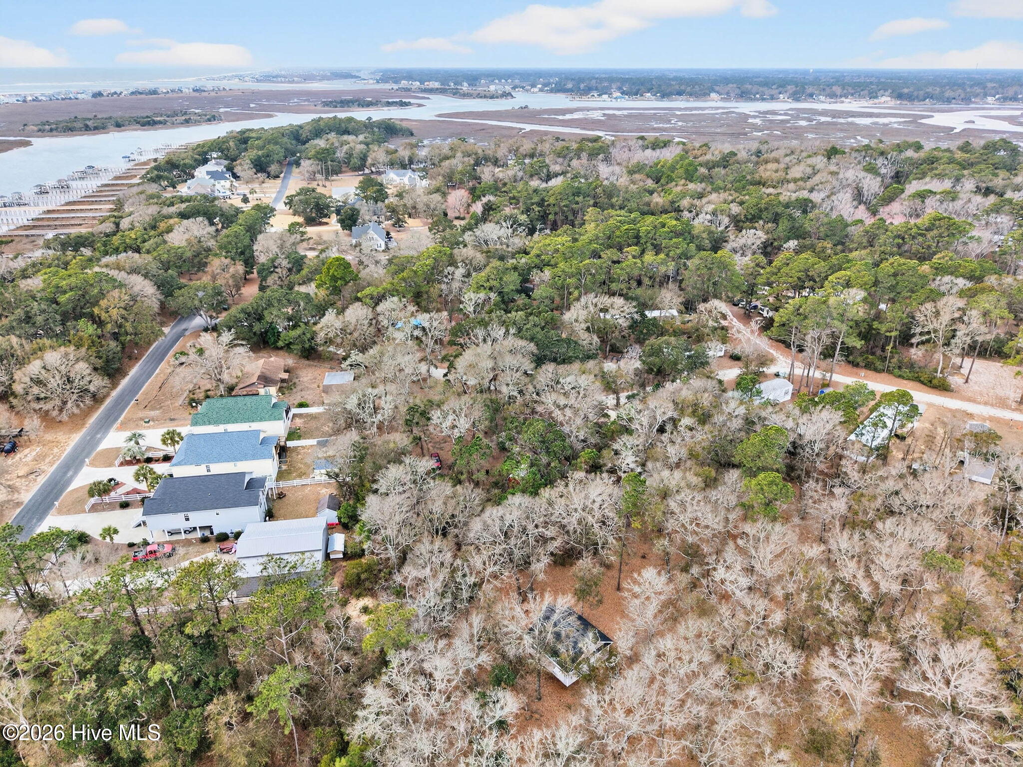 100558205 | Photo 12