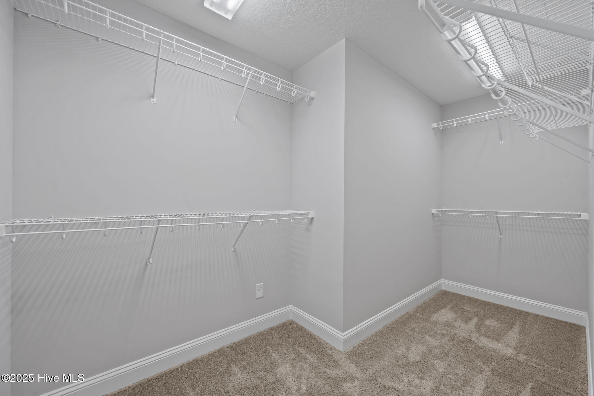 100546681 | Photo 31