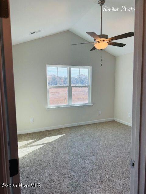 100511917 | Photo 17