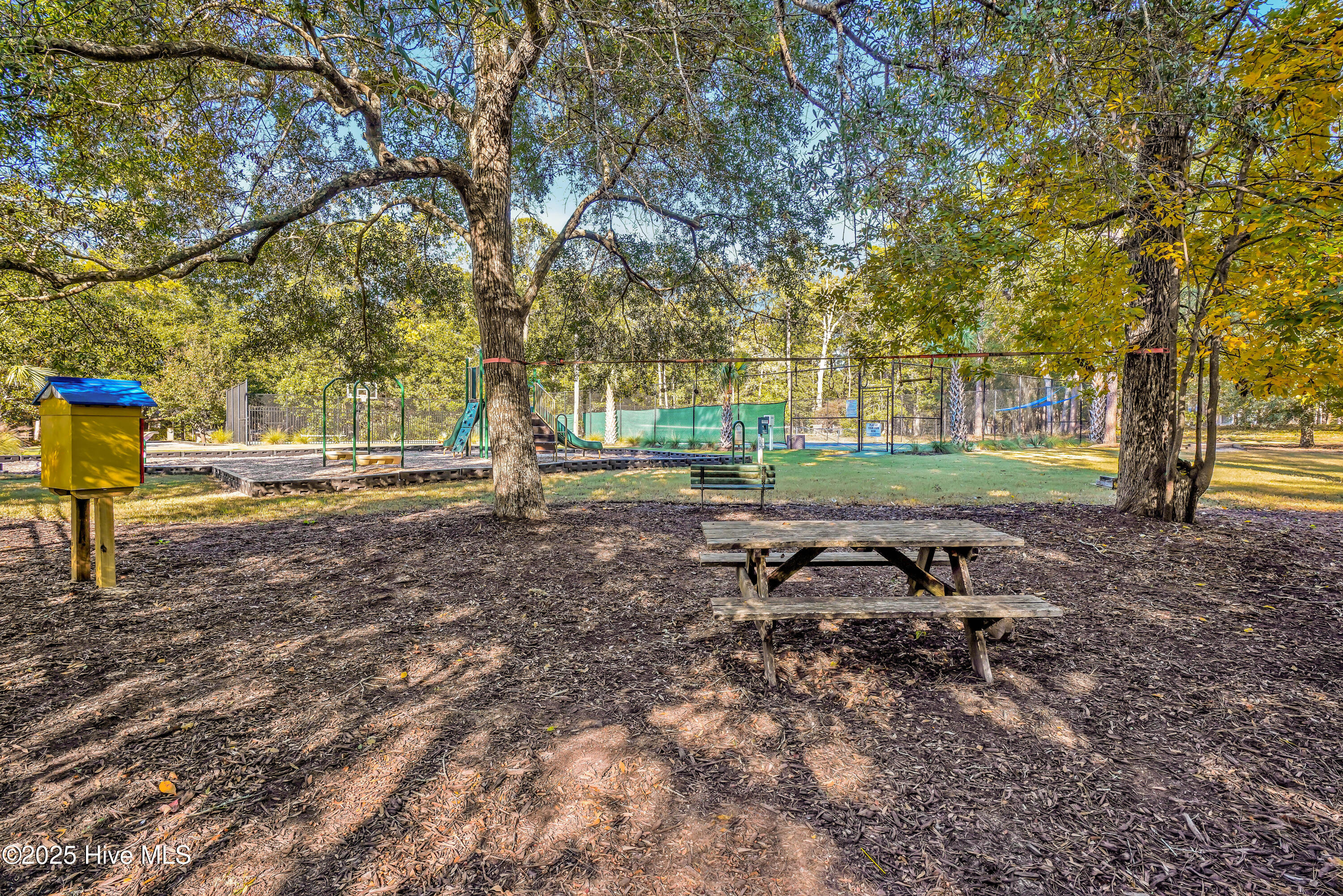 100544315 | Photo 21