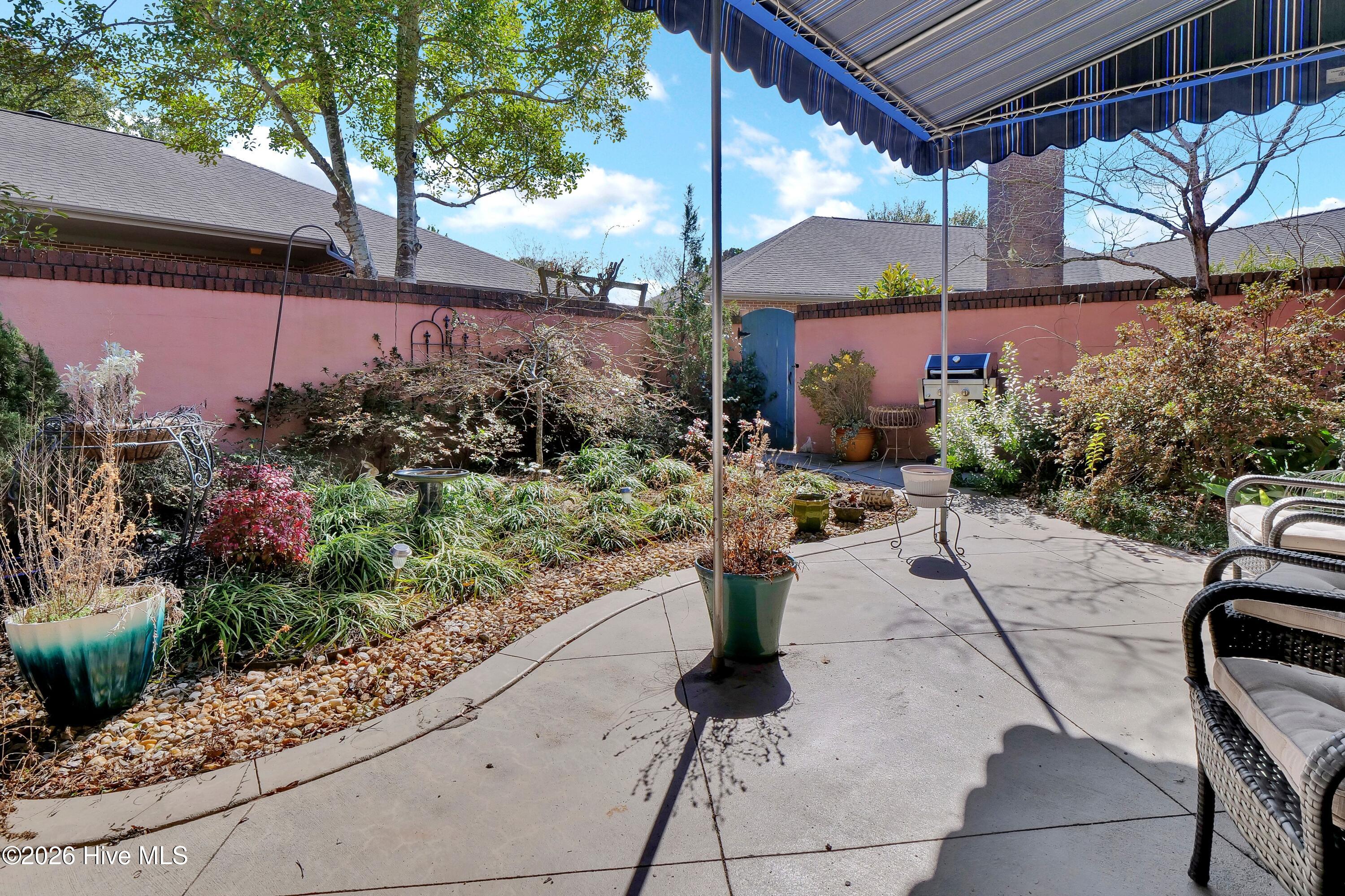 100555584 | Photo 25