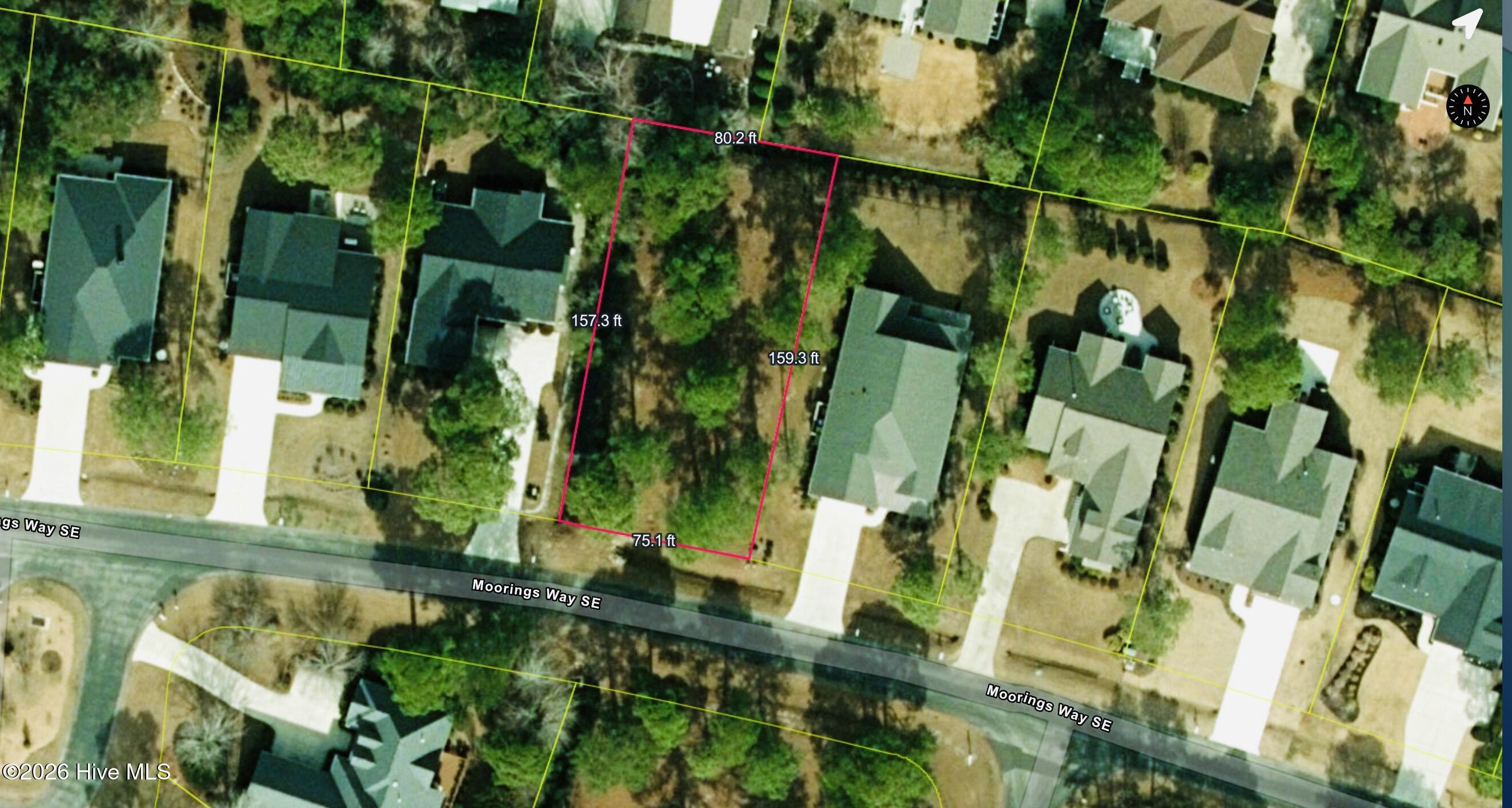 100566428 | Photo 15