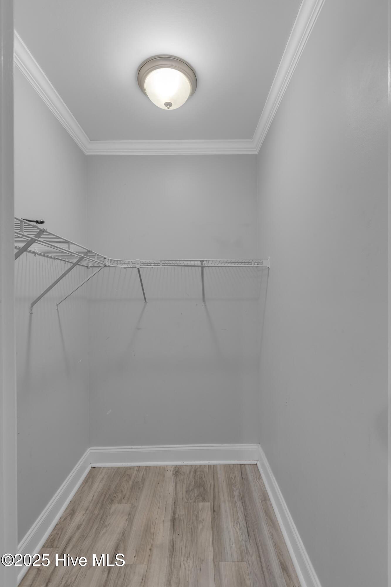 100538970 | Photo 16