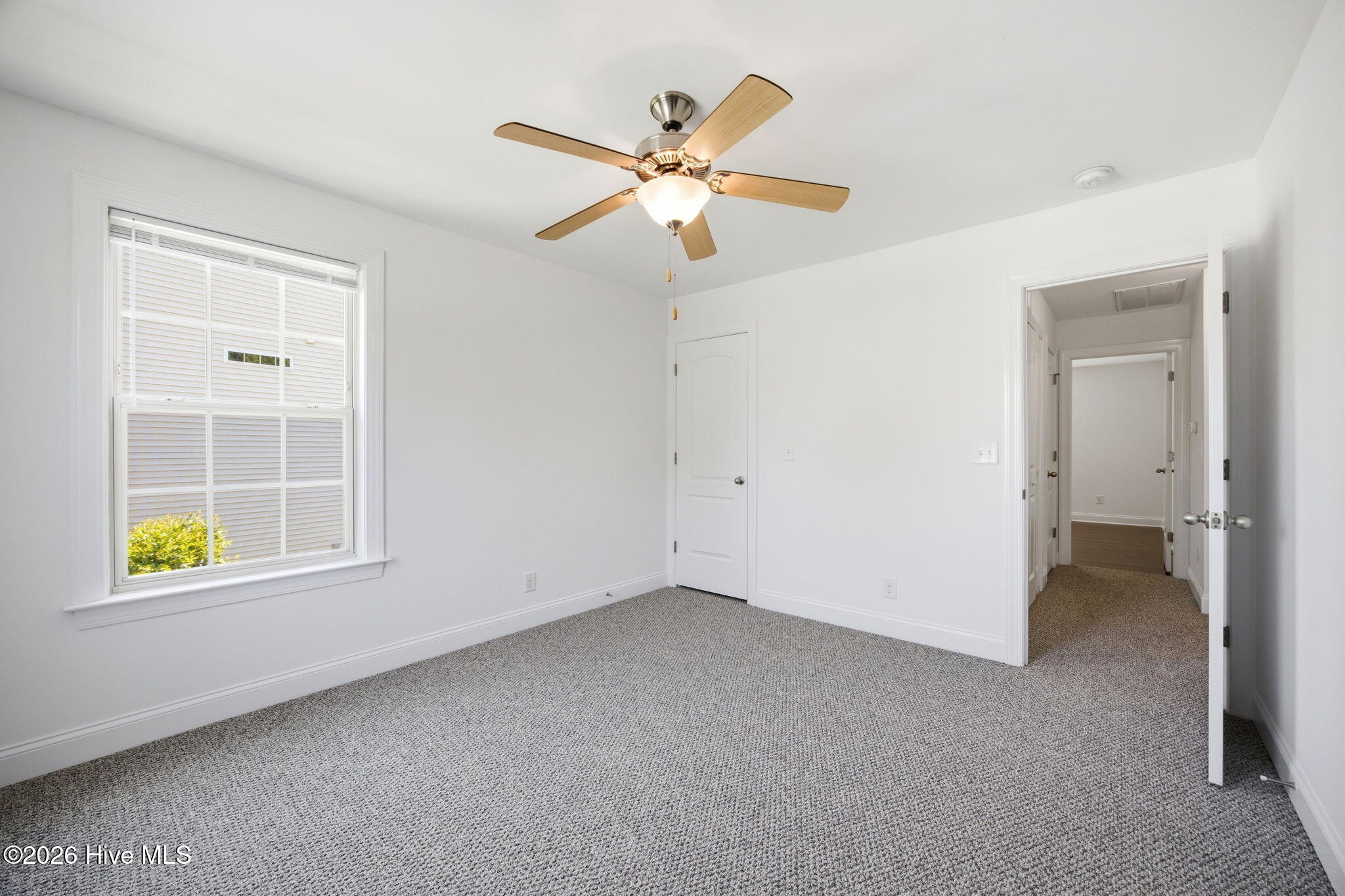 100569504 | Photo 29