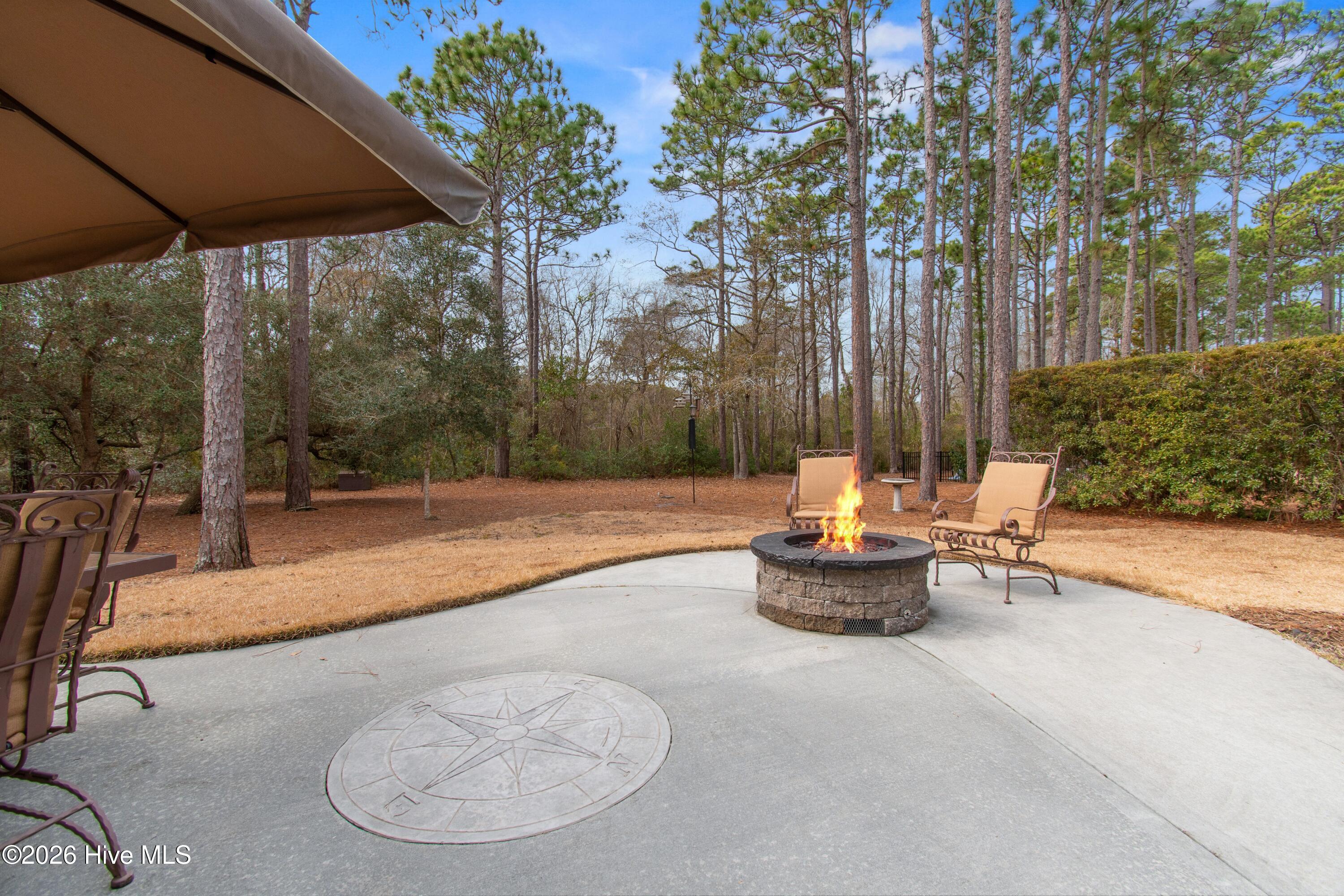 100555606 | Photo 53