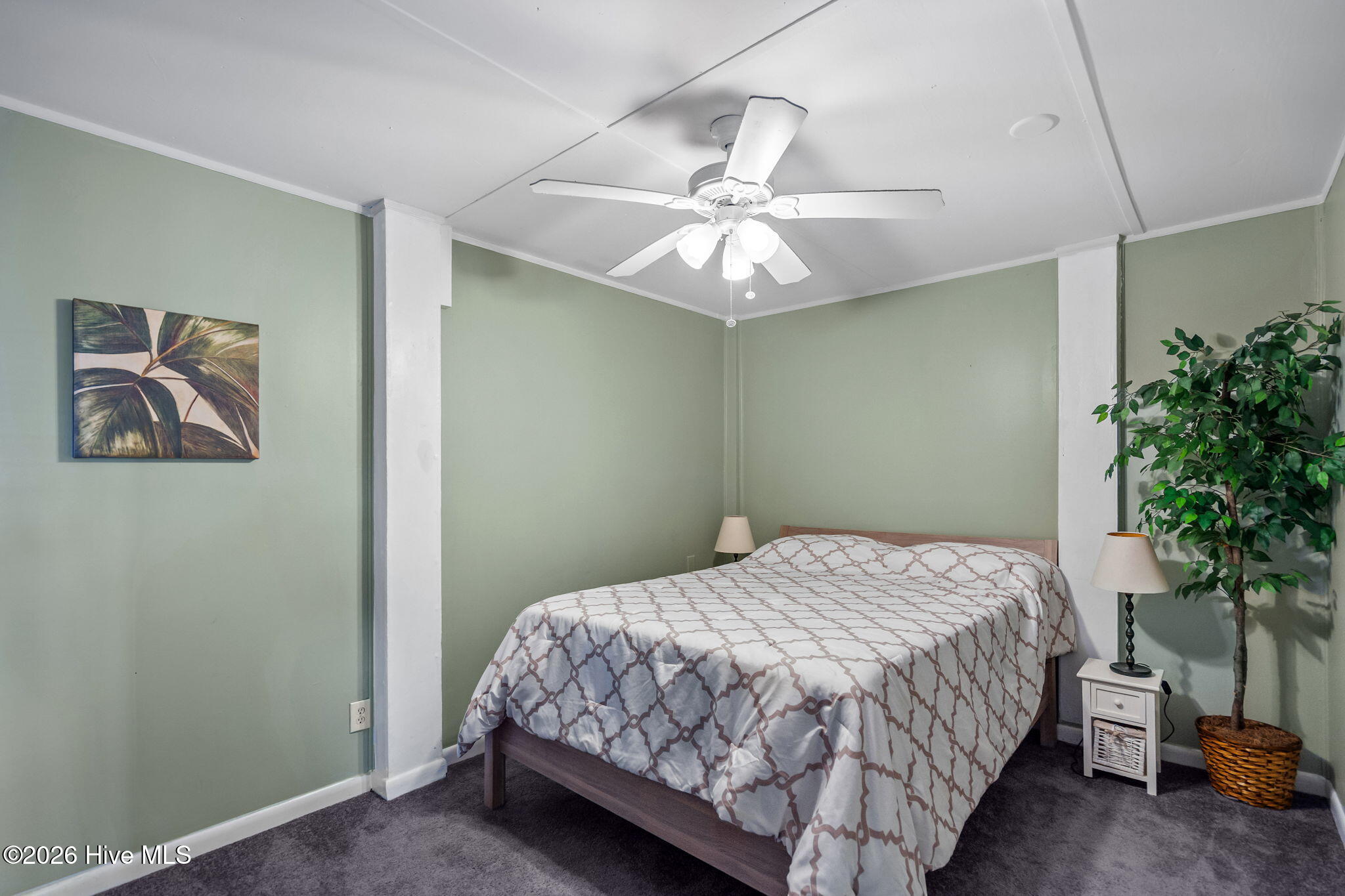 100555600 | Photo 59