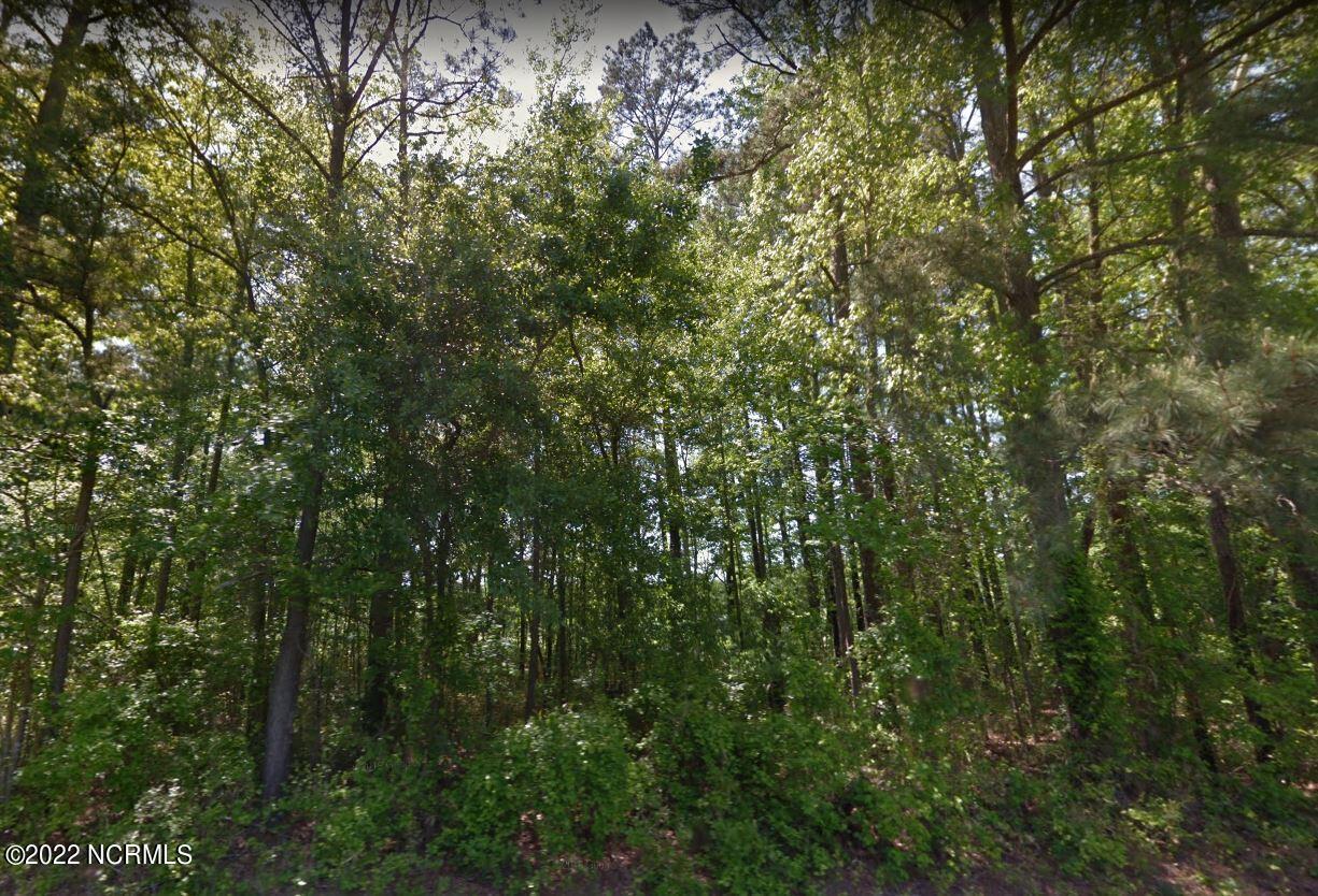 Lot 14b Lbk Circle, Tignall, GA, 30668