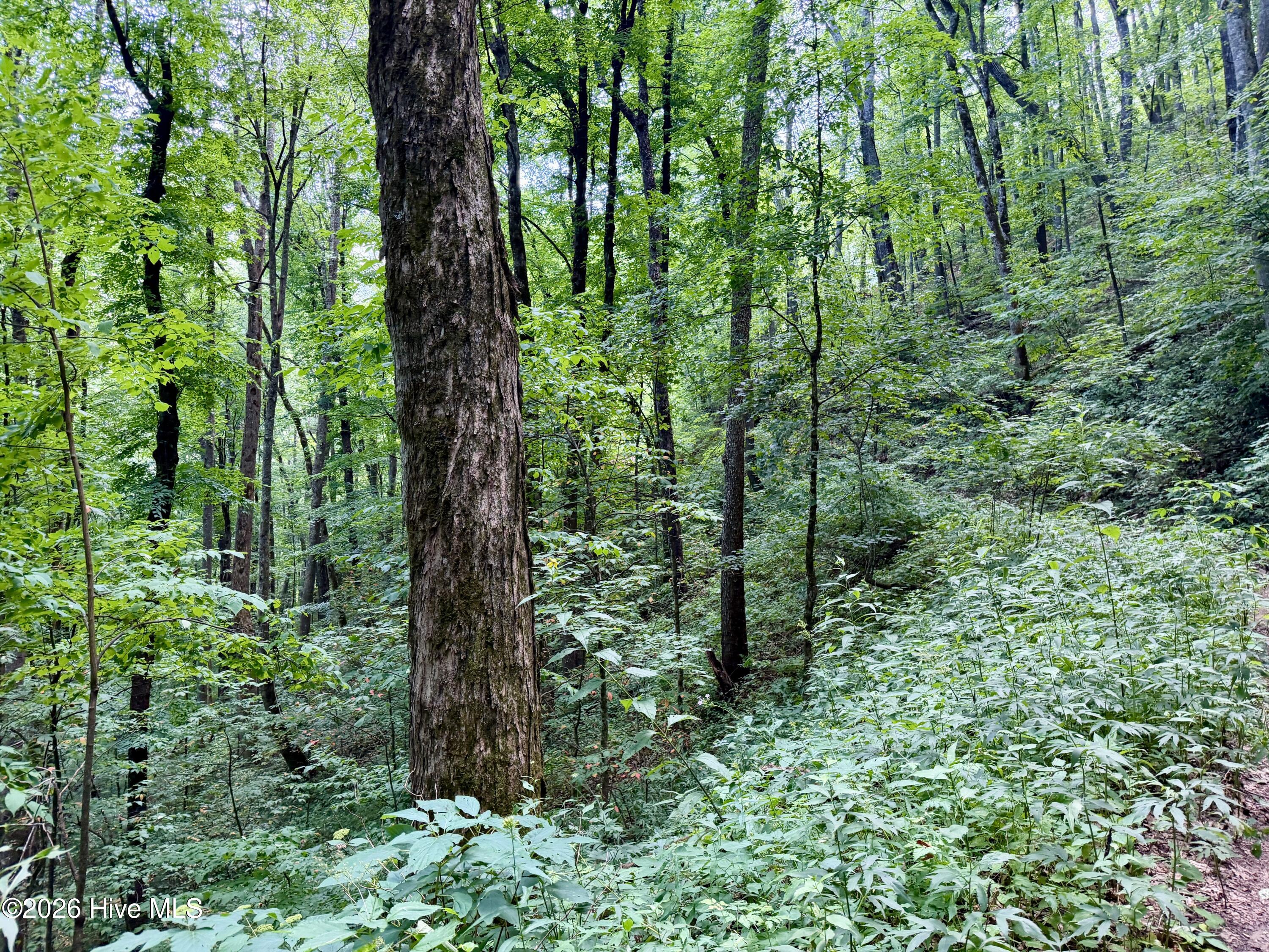 40th image of 4181 Huffman Creek Rd #32, Robbinsville, NC 28771 | MLS# 100594515