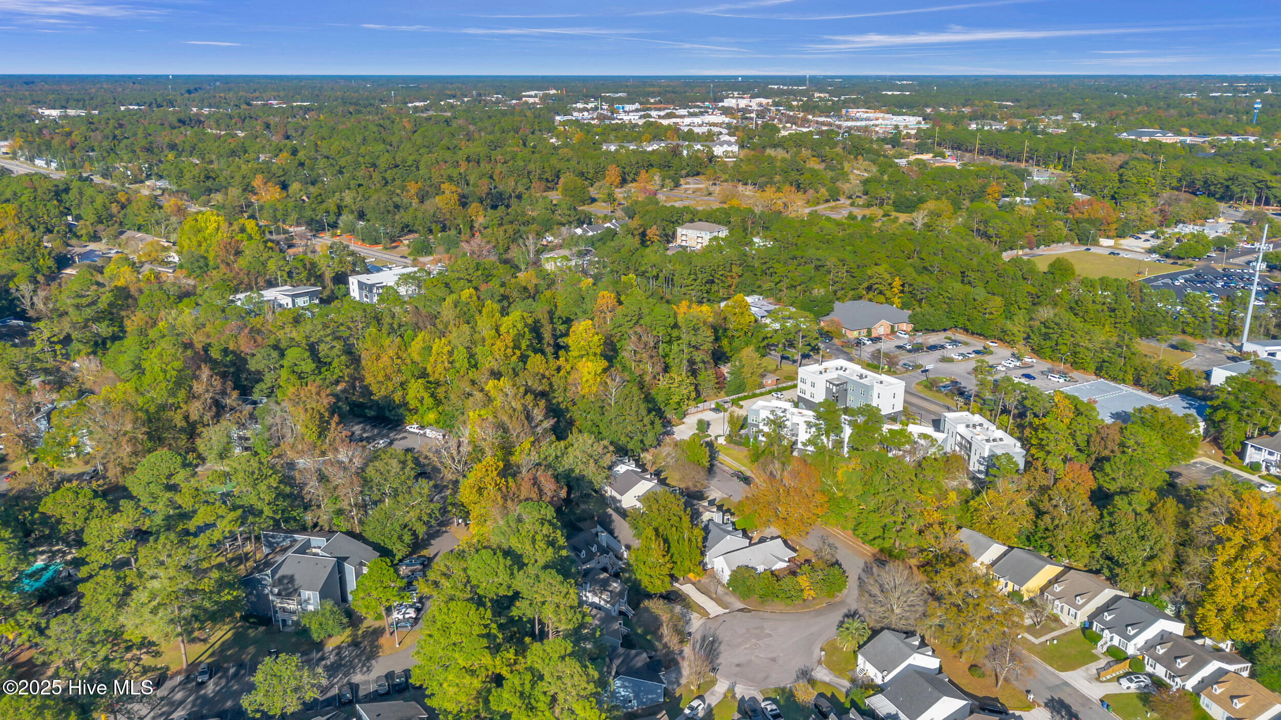 100540168 | Photo 36