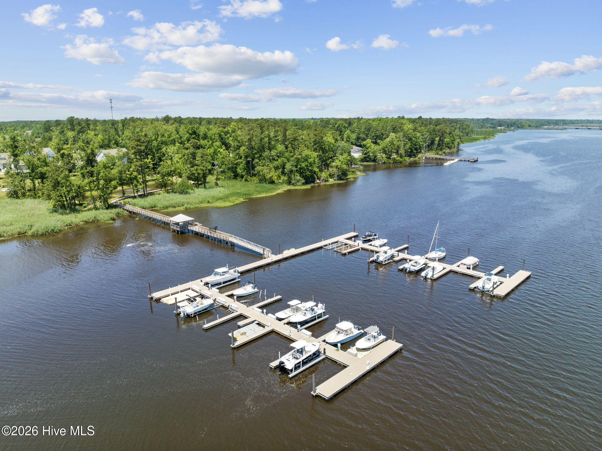 100554363 | Photo 48