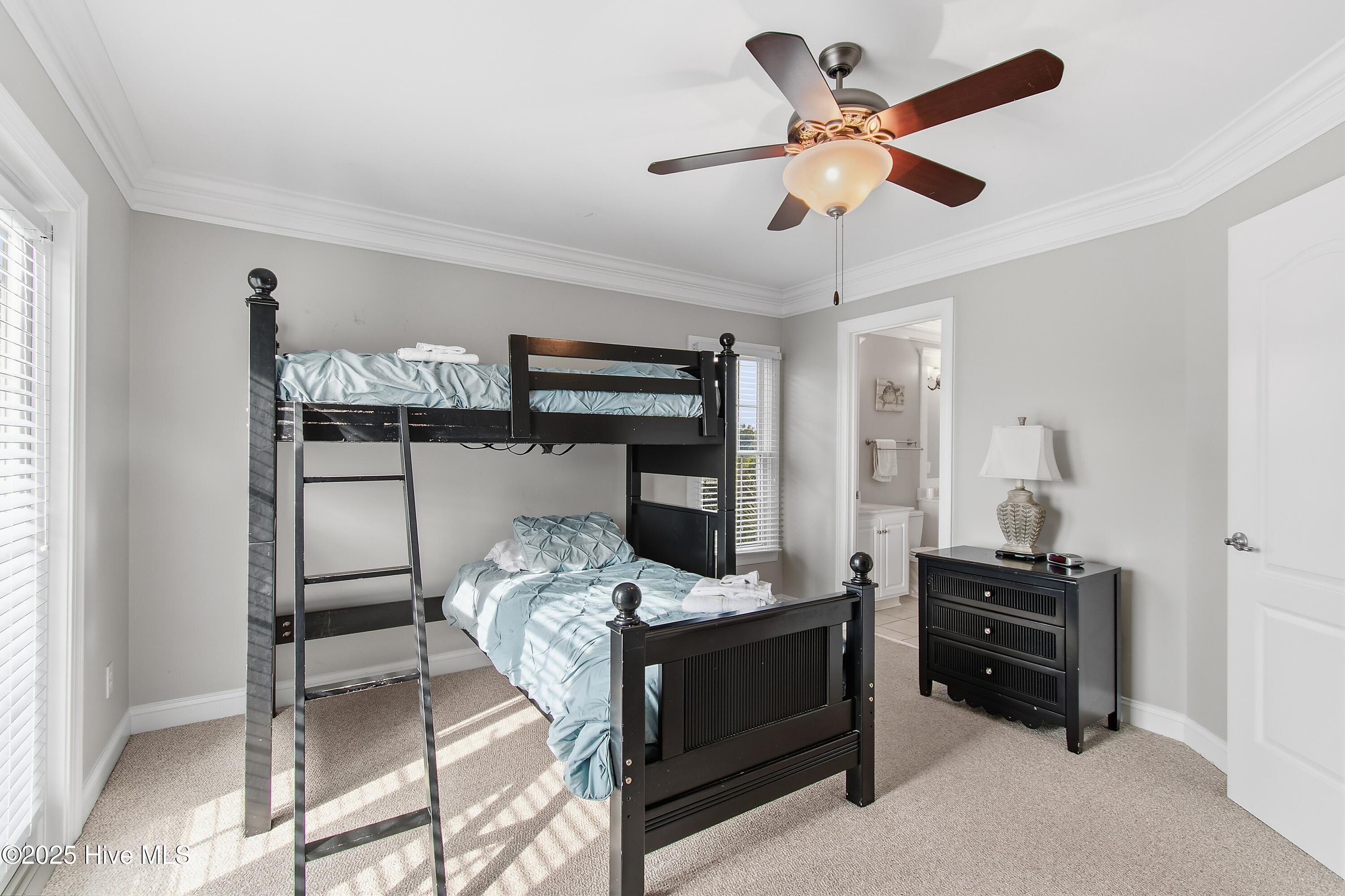 100541969 | Photo 39