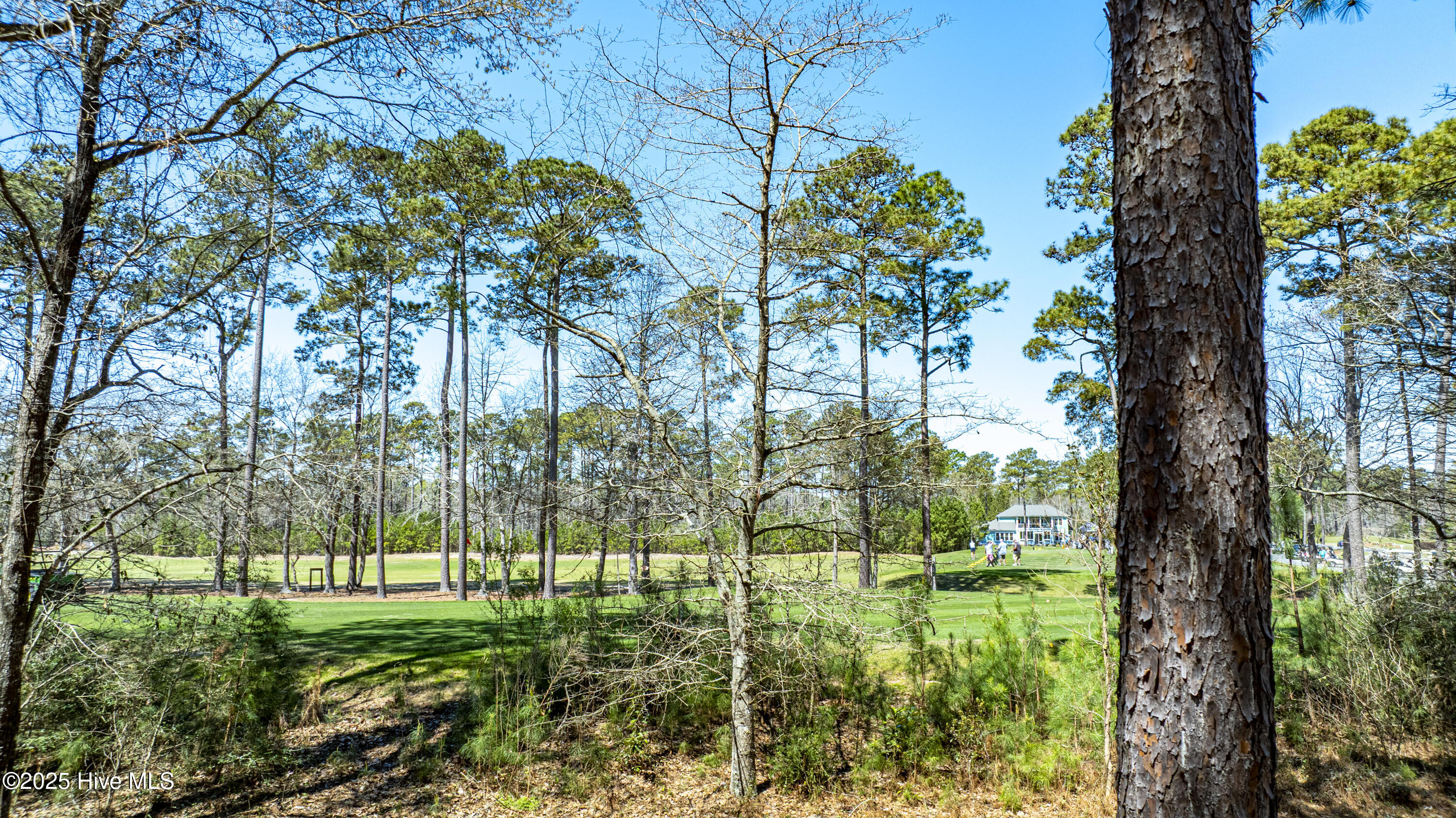 100498596 | Photo 23