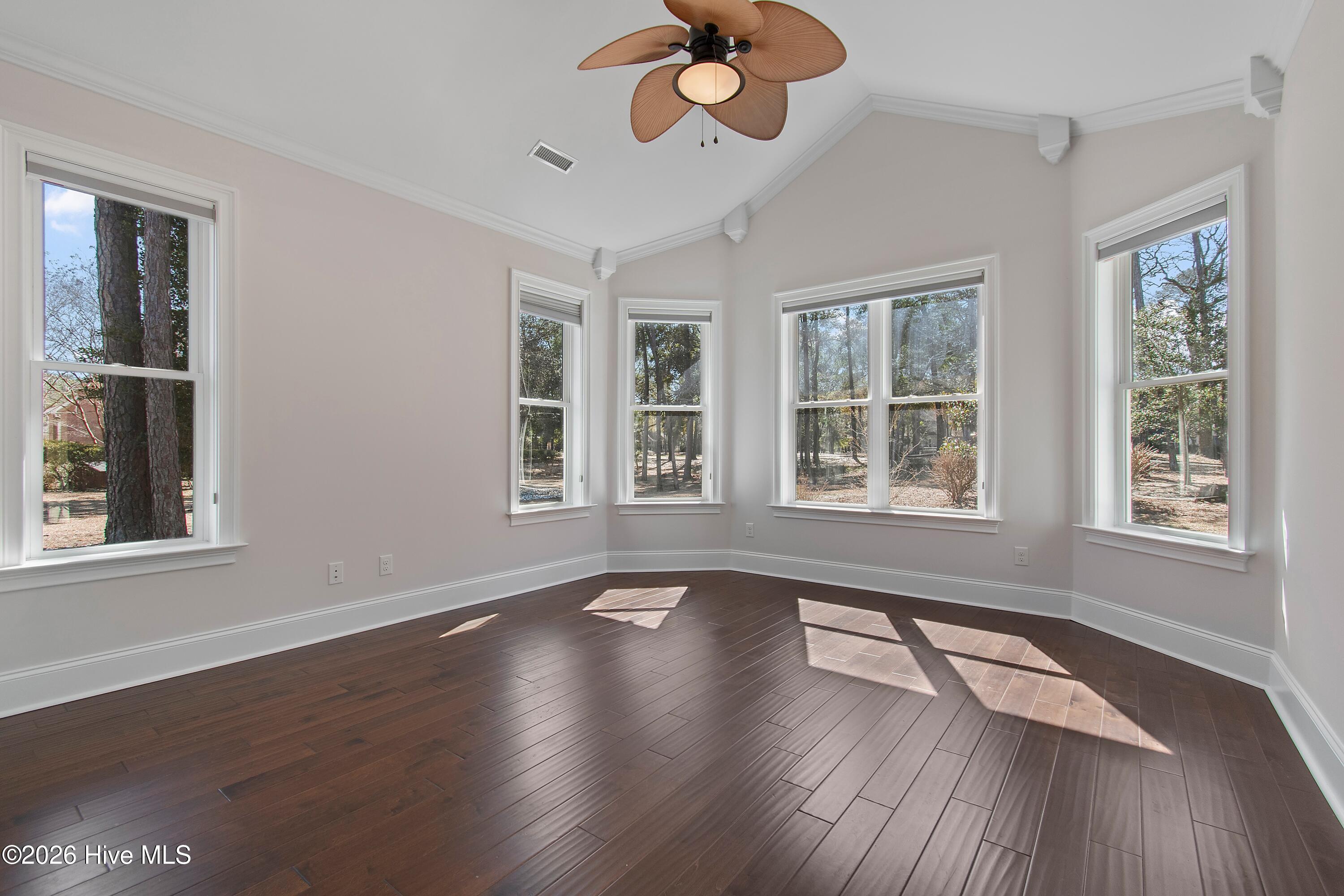 100556573 | Photo 21