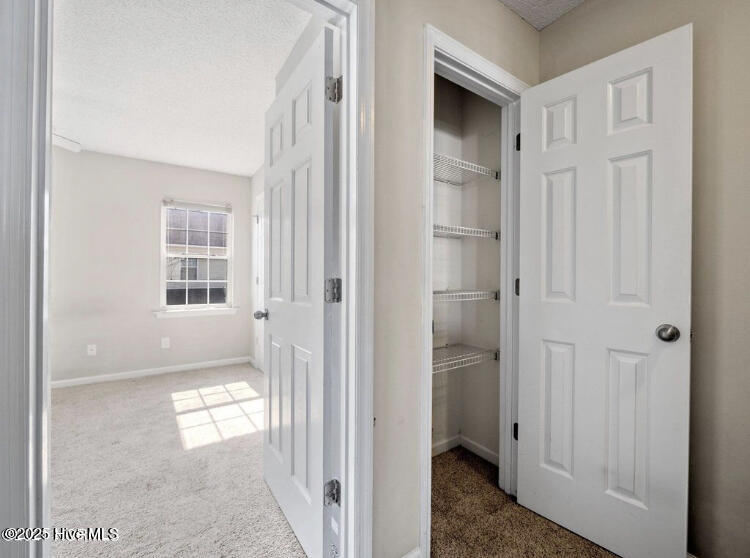 100546630 | Photo 13