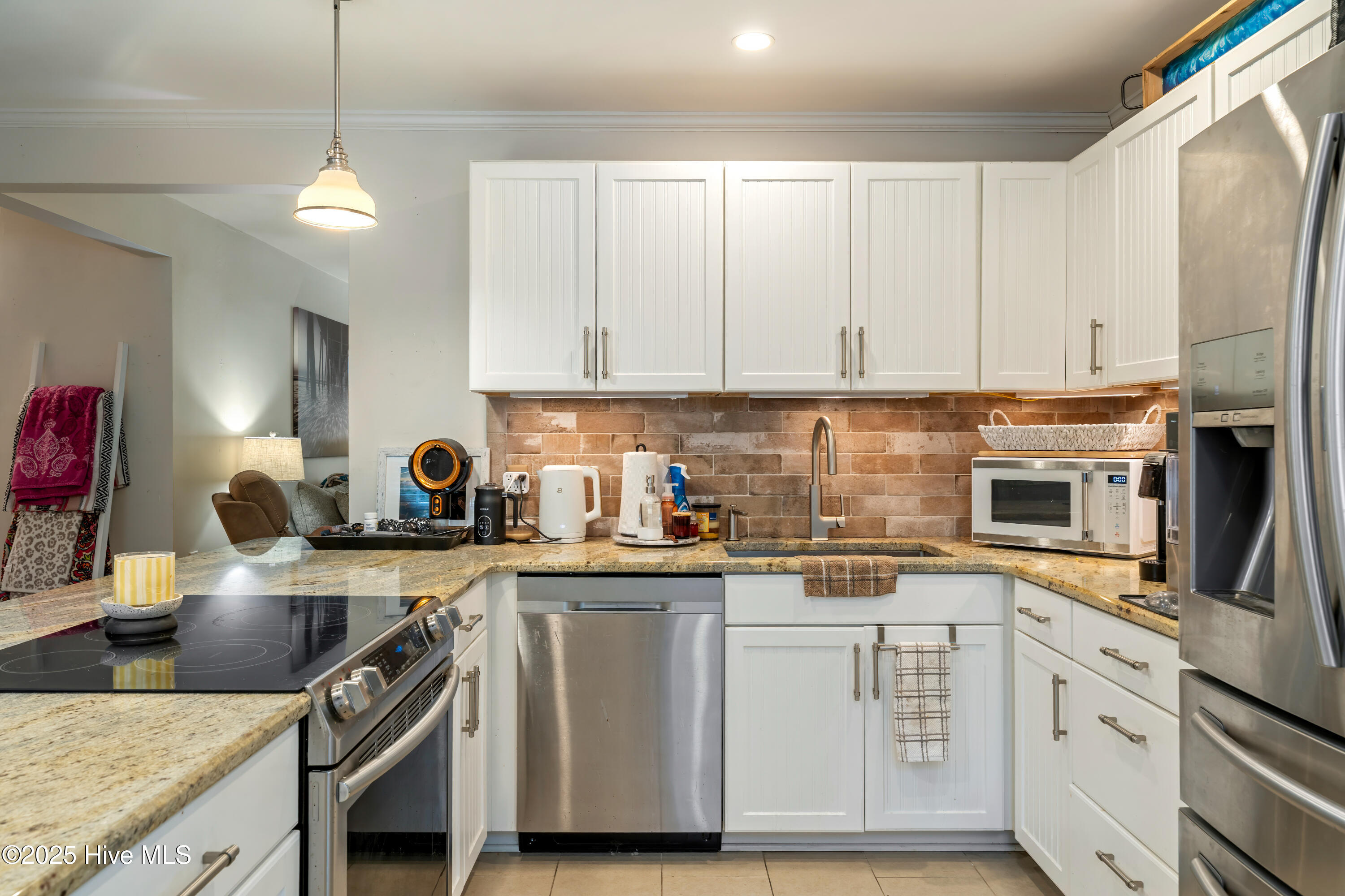 100539316 | Photo 14