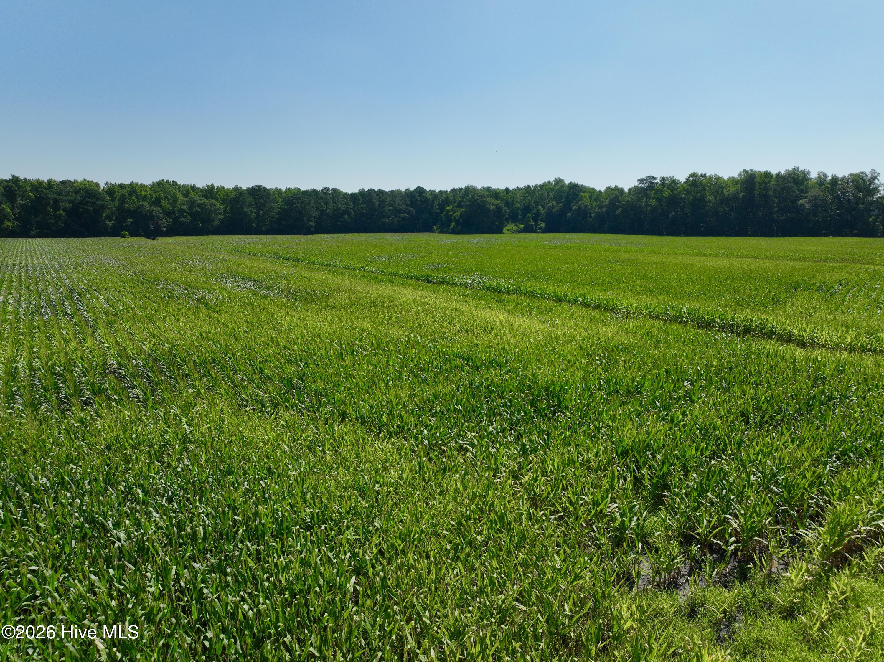 00 Cedar Fork Road,Beulaville