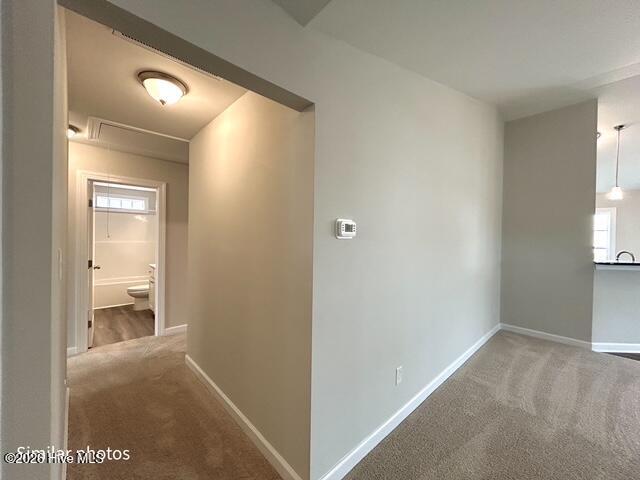 100560843 | Photo 31