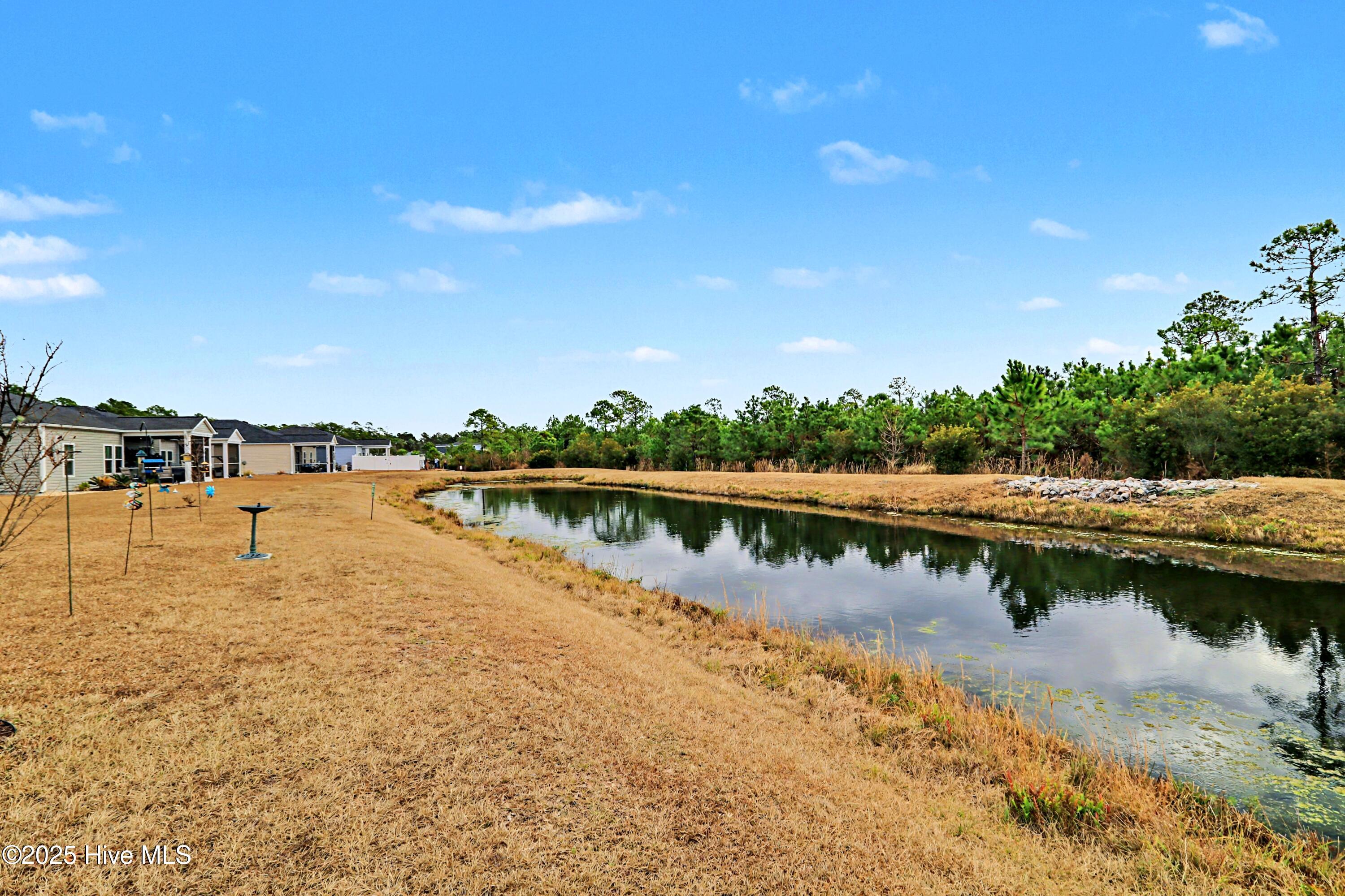 100547065 | Photo 29