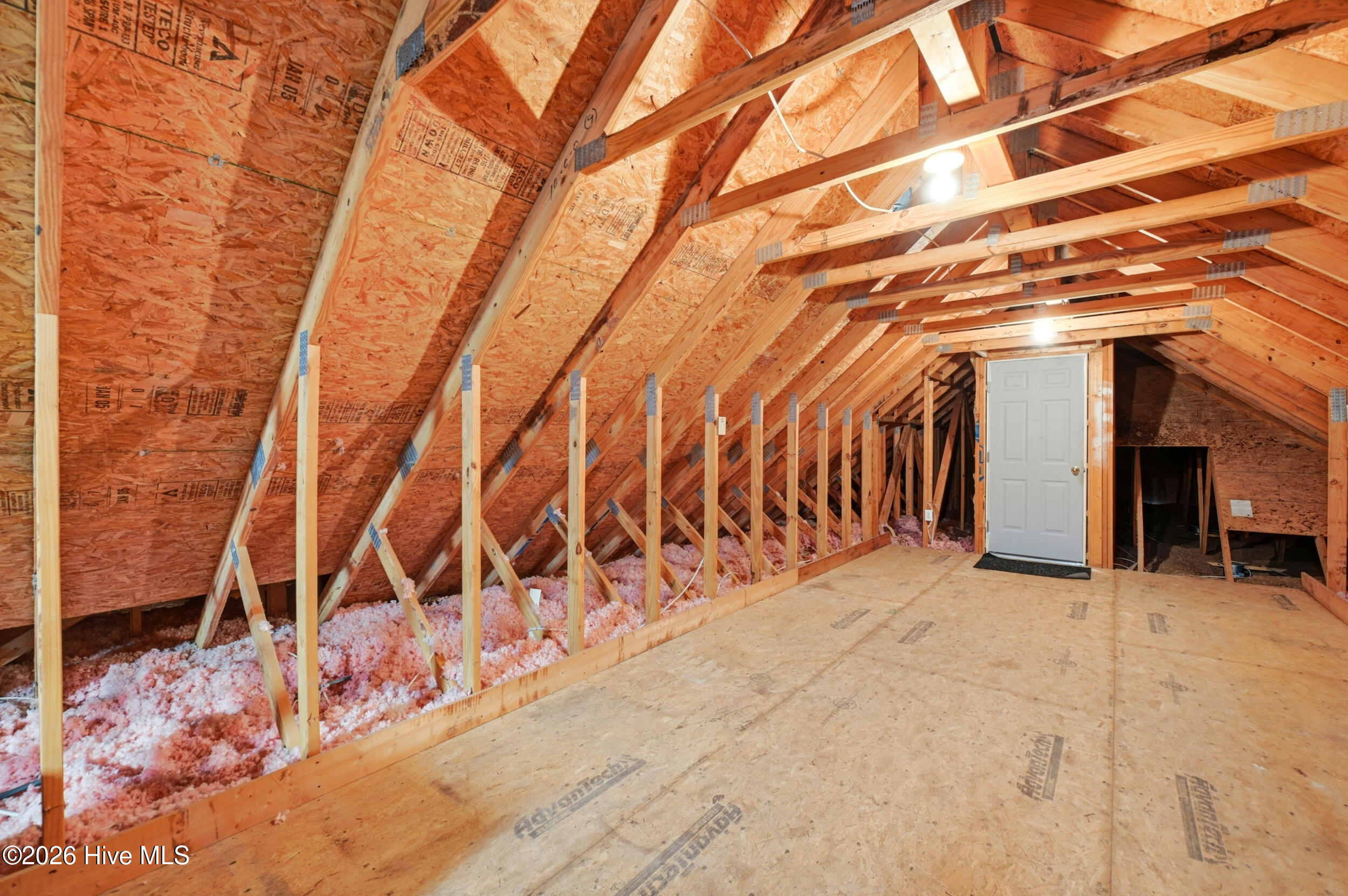 100557238 | Photo 34