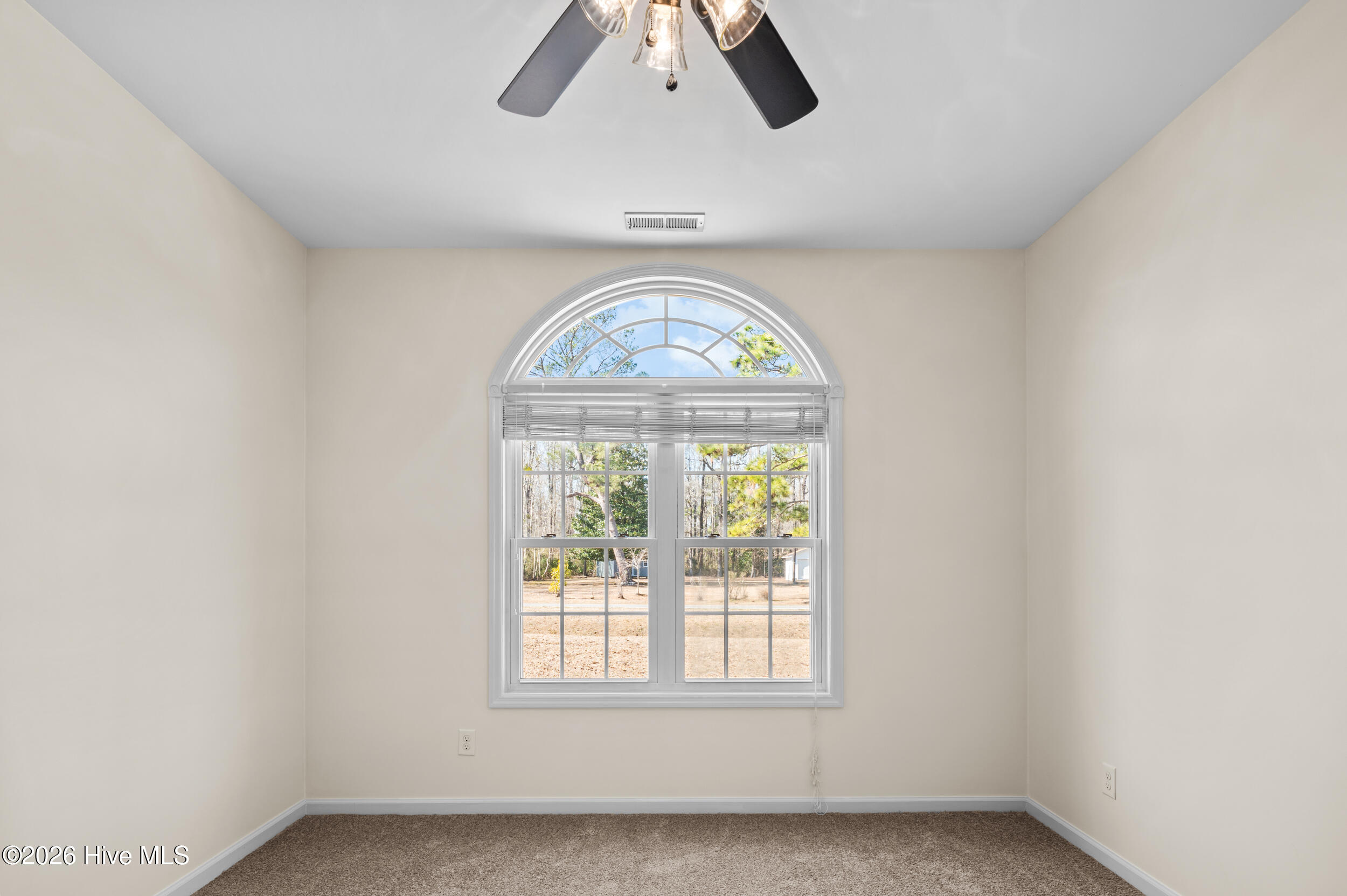 100553991 | Photo 19