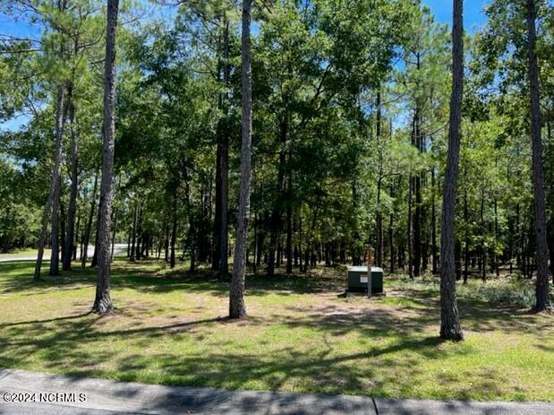 100458901 | Photo 28