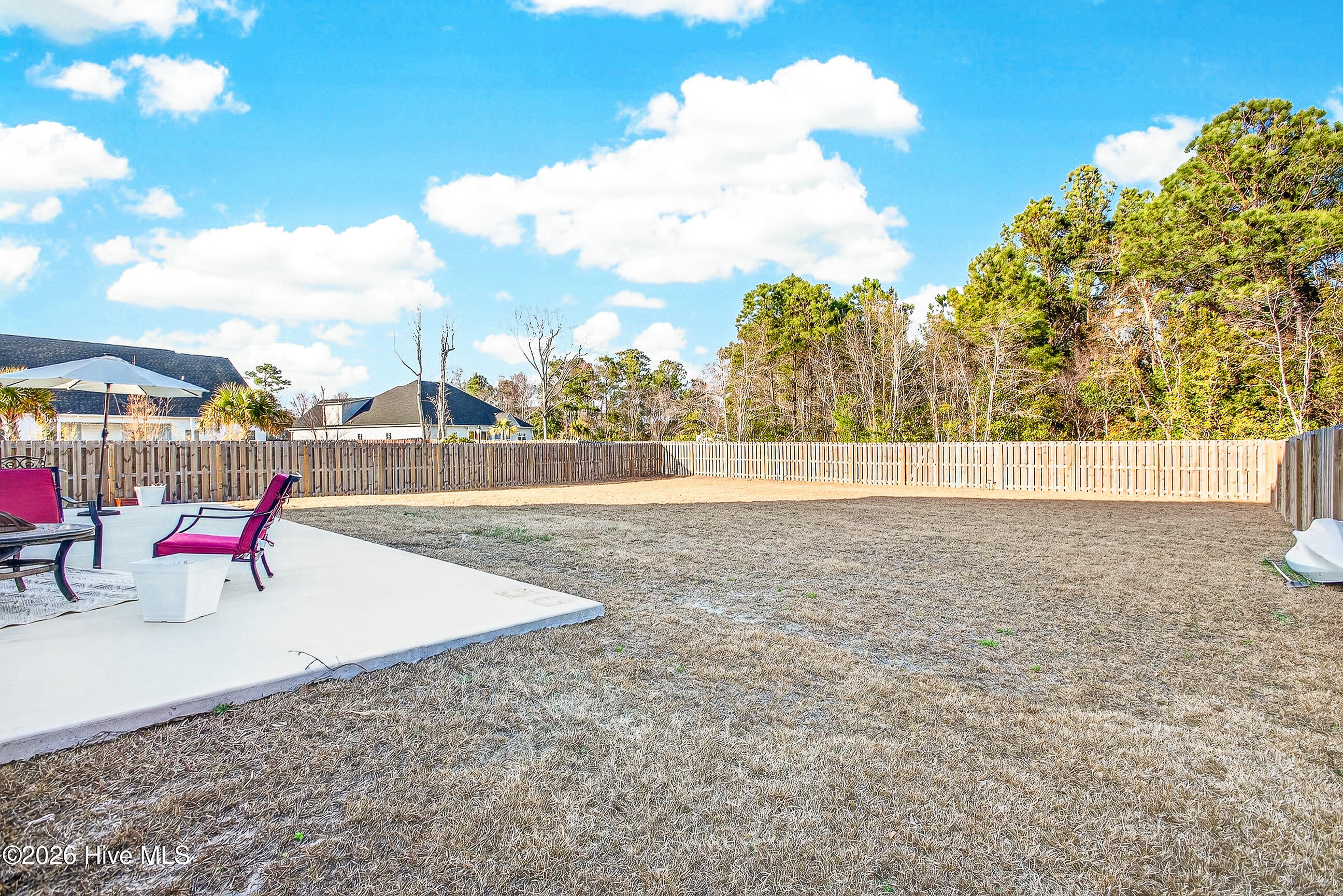 100558973 | Photo 30