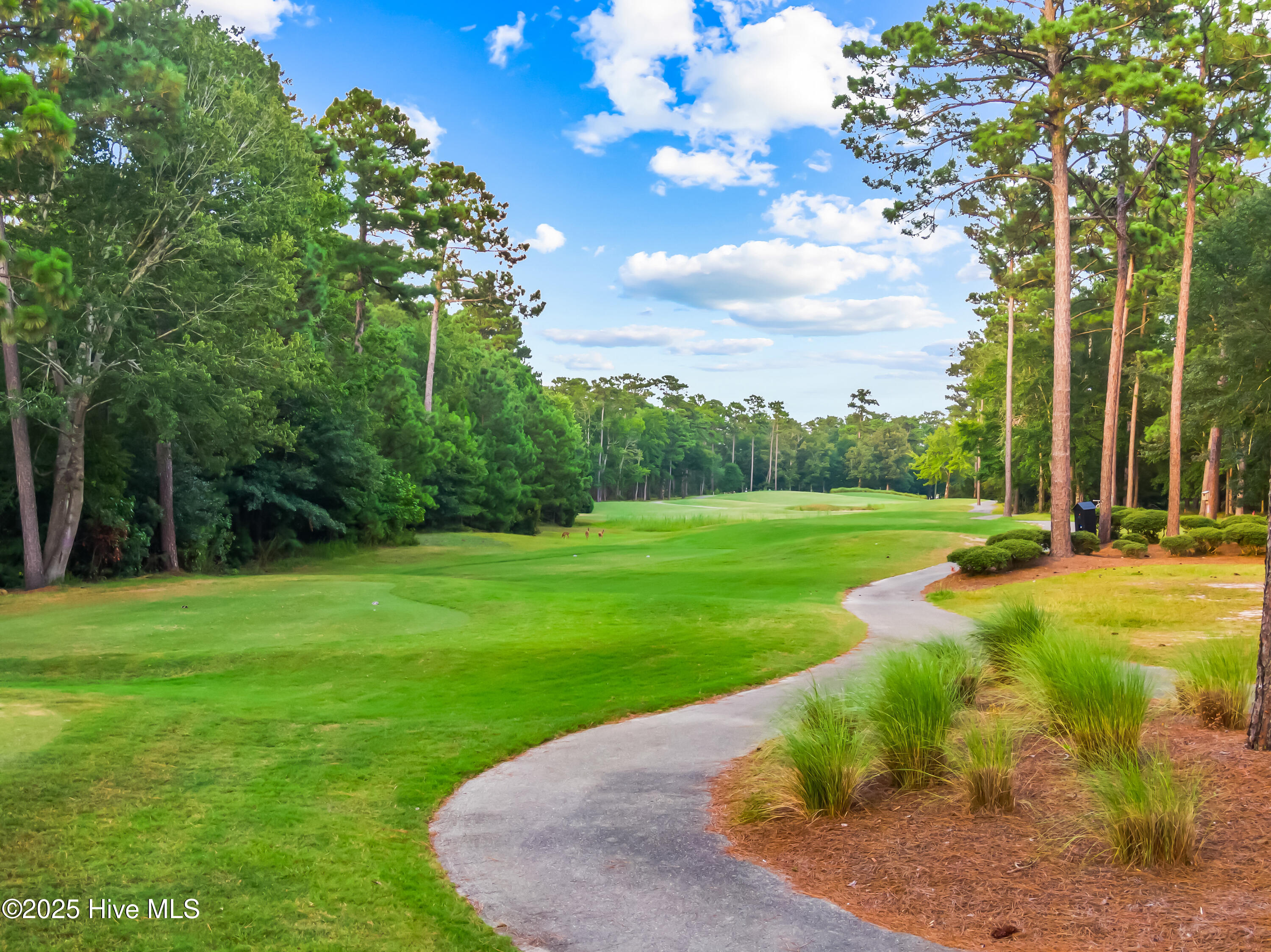 341 Bay Hill Court, Shallotte, NC 28470 – photo 13: 341 Bay Hill