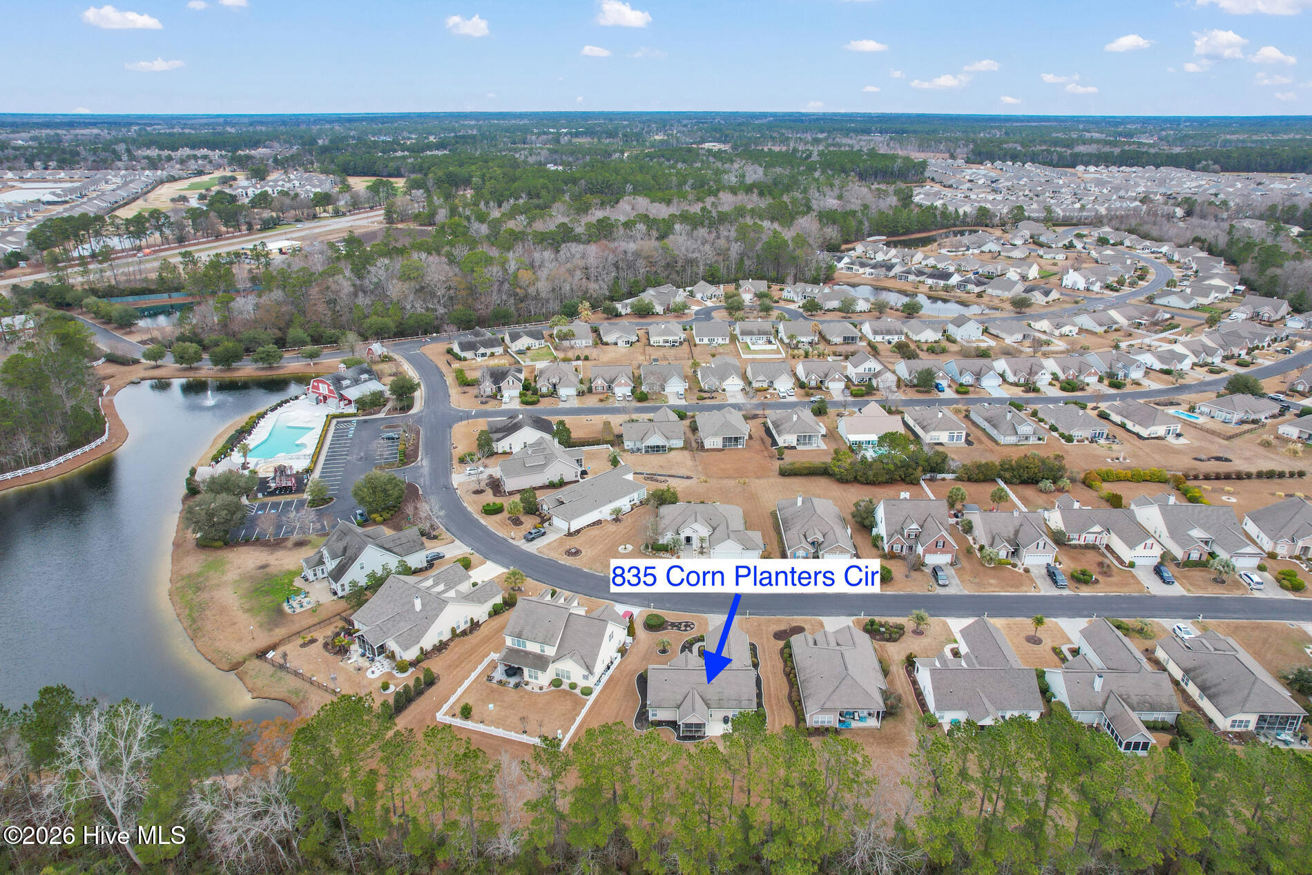 100555398 | Photo 33