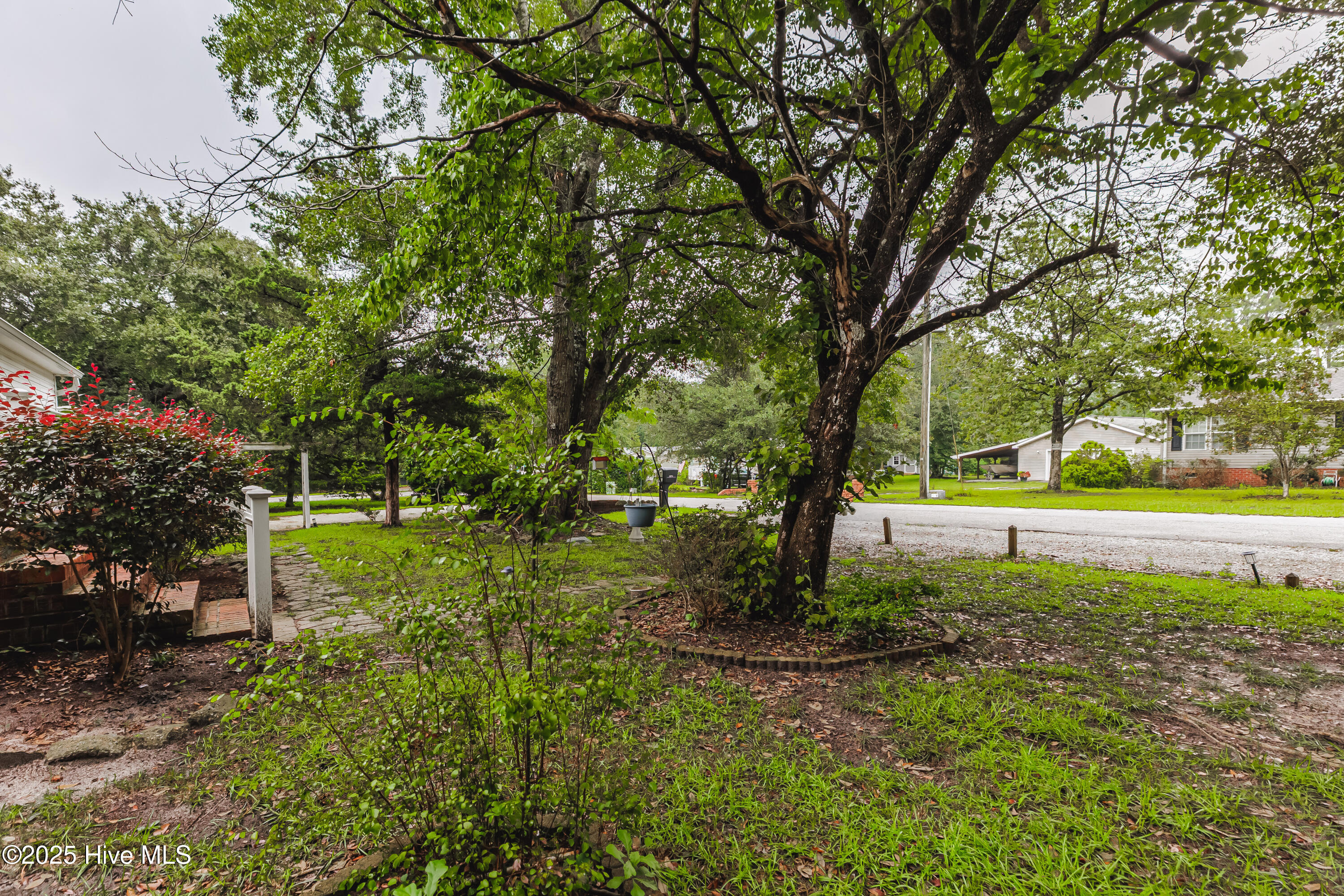 100524257 | Photo 32