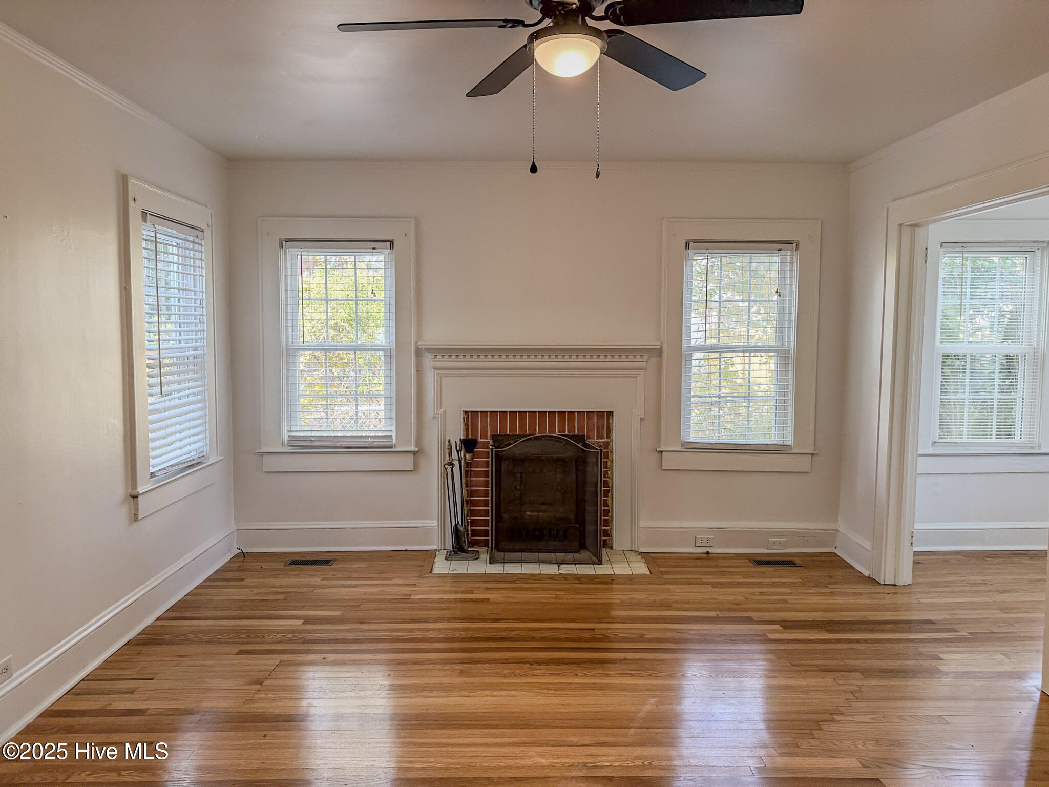 100542160 | Photo 17