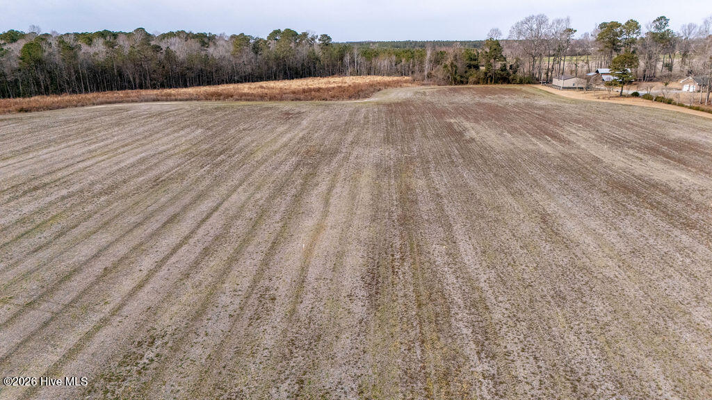 100567639 | Photo 10