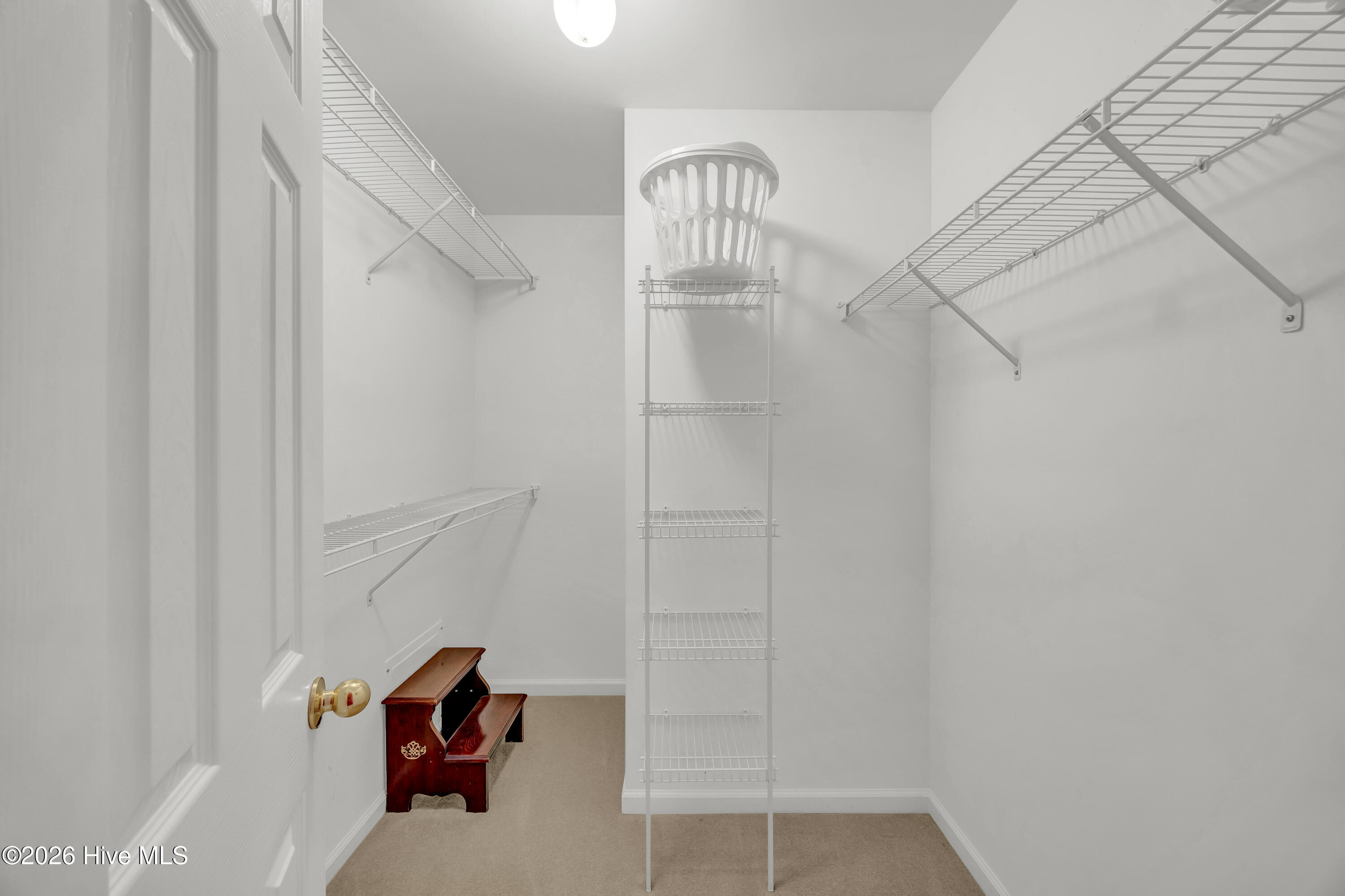 100550758 | Photo 13