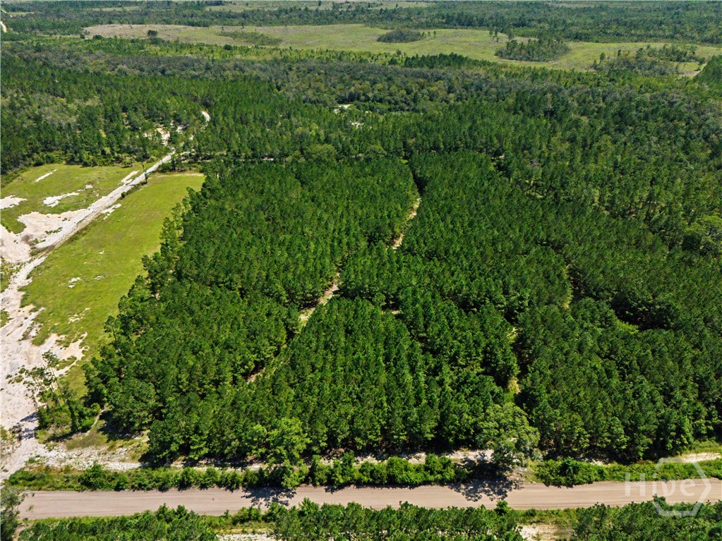 Photo 4 of Land for sale at Lot 1-o Ml Branch Clb Rd, Pembroke, GA 31321 | MLS# SA364011 | Listing updated on 2026-10-17