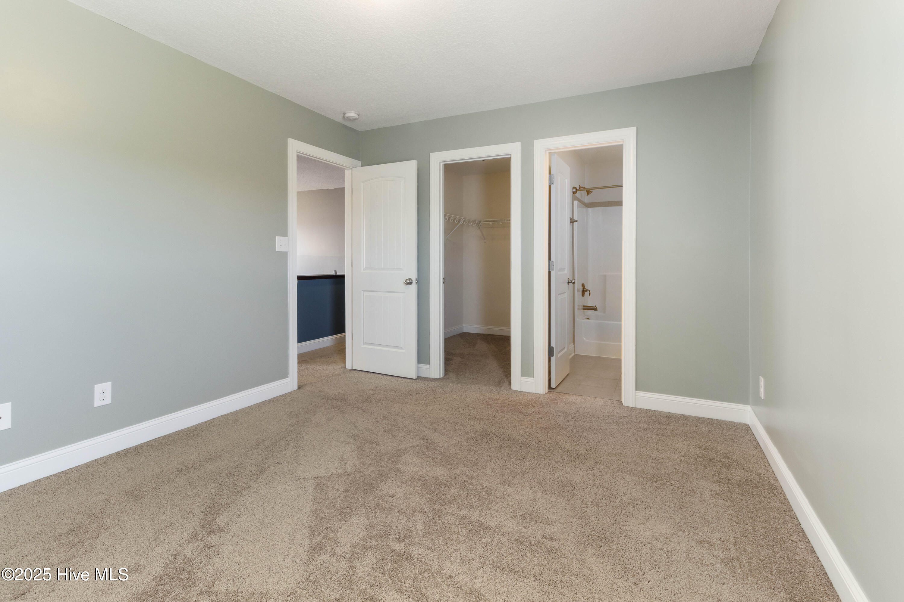 100528523 | Photo 38