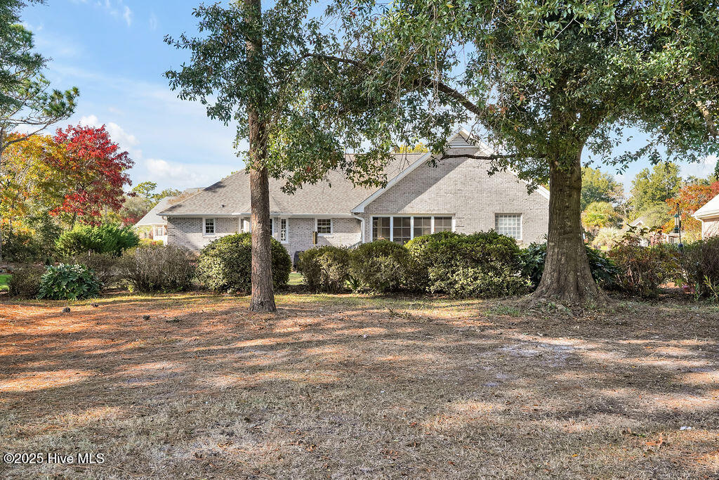 100541437 | Photo 43