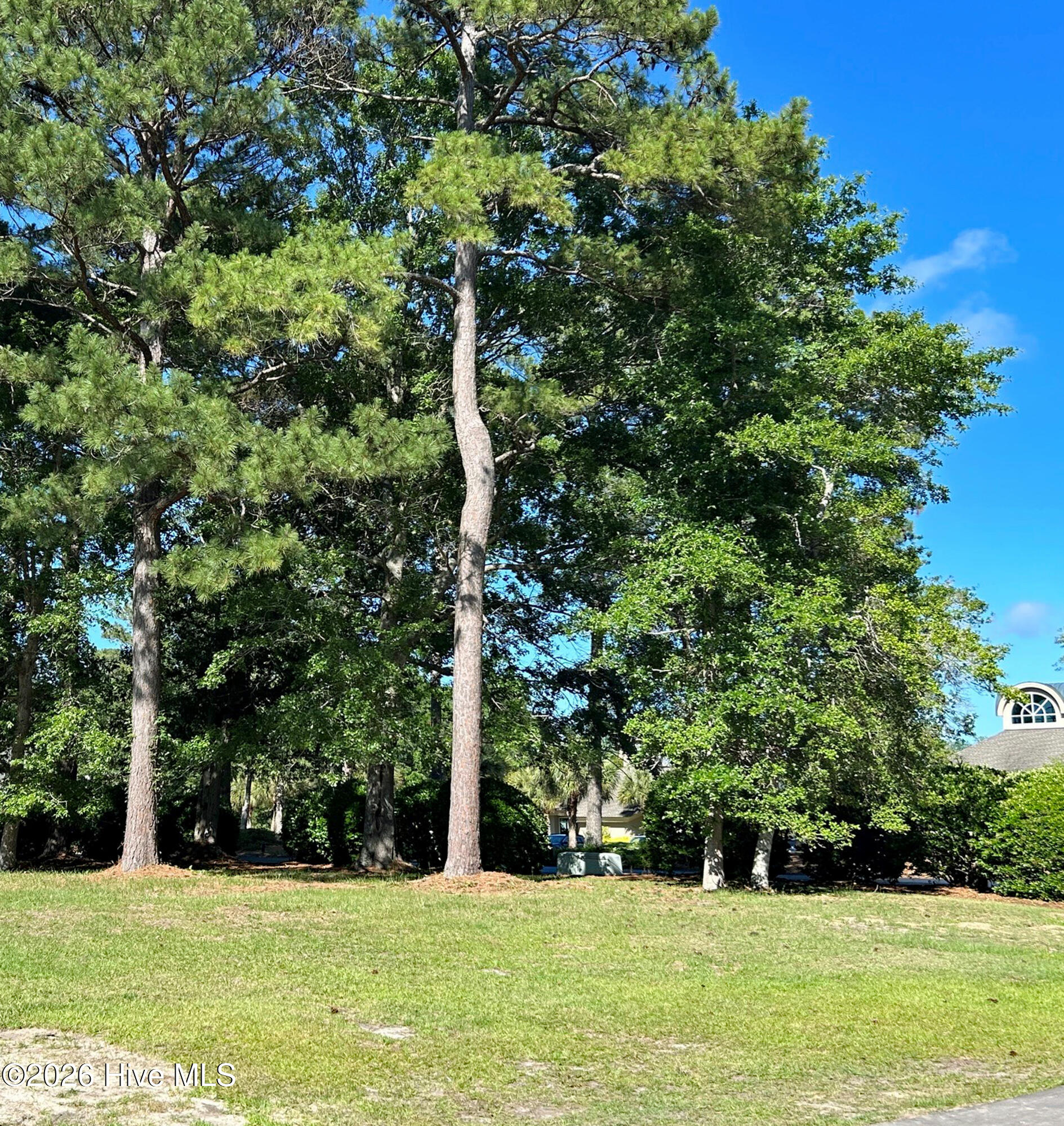 Shirley Johnson - MLS Number: 100575376