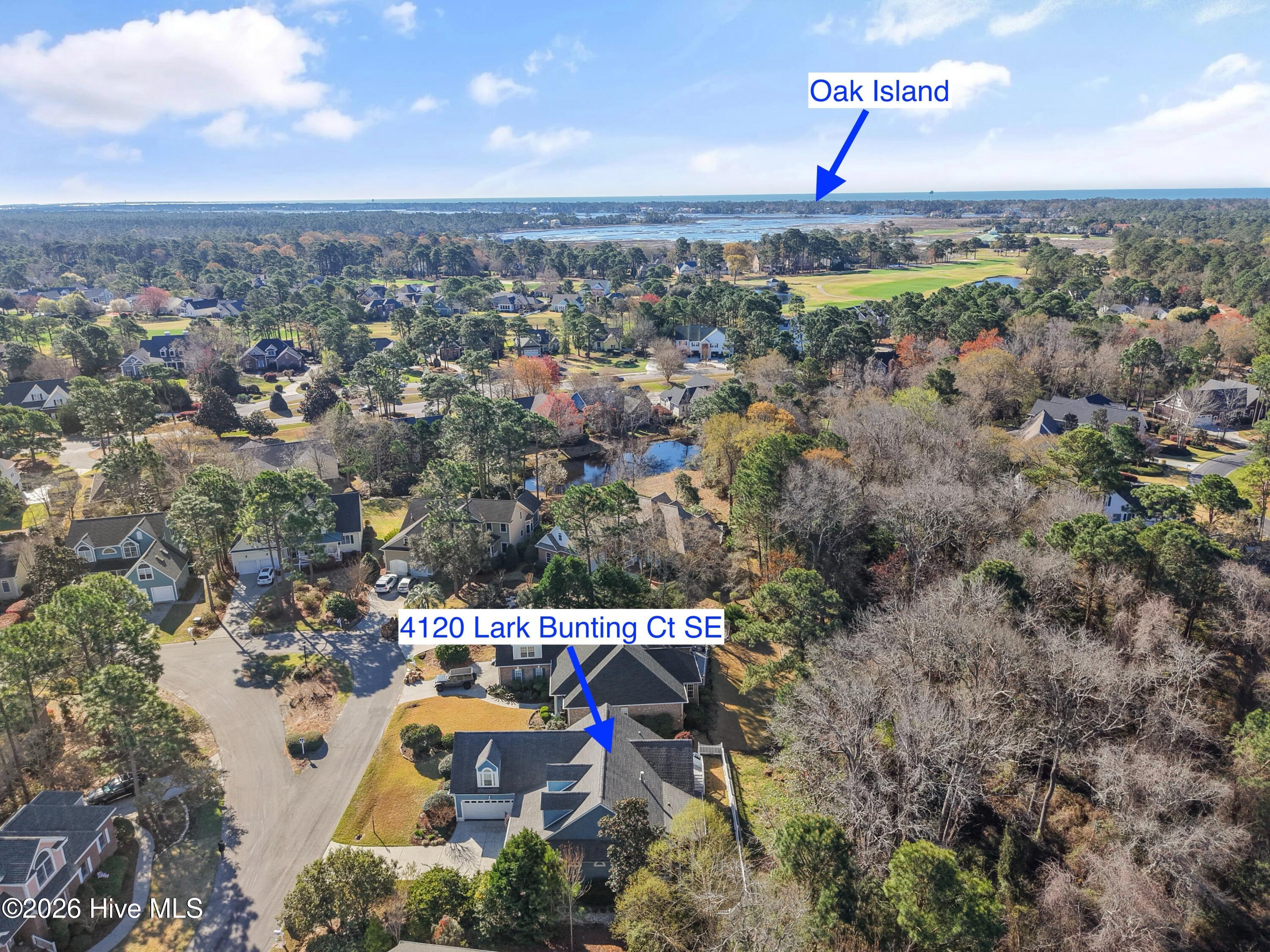 100561490 | Photo 53