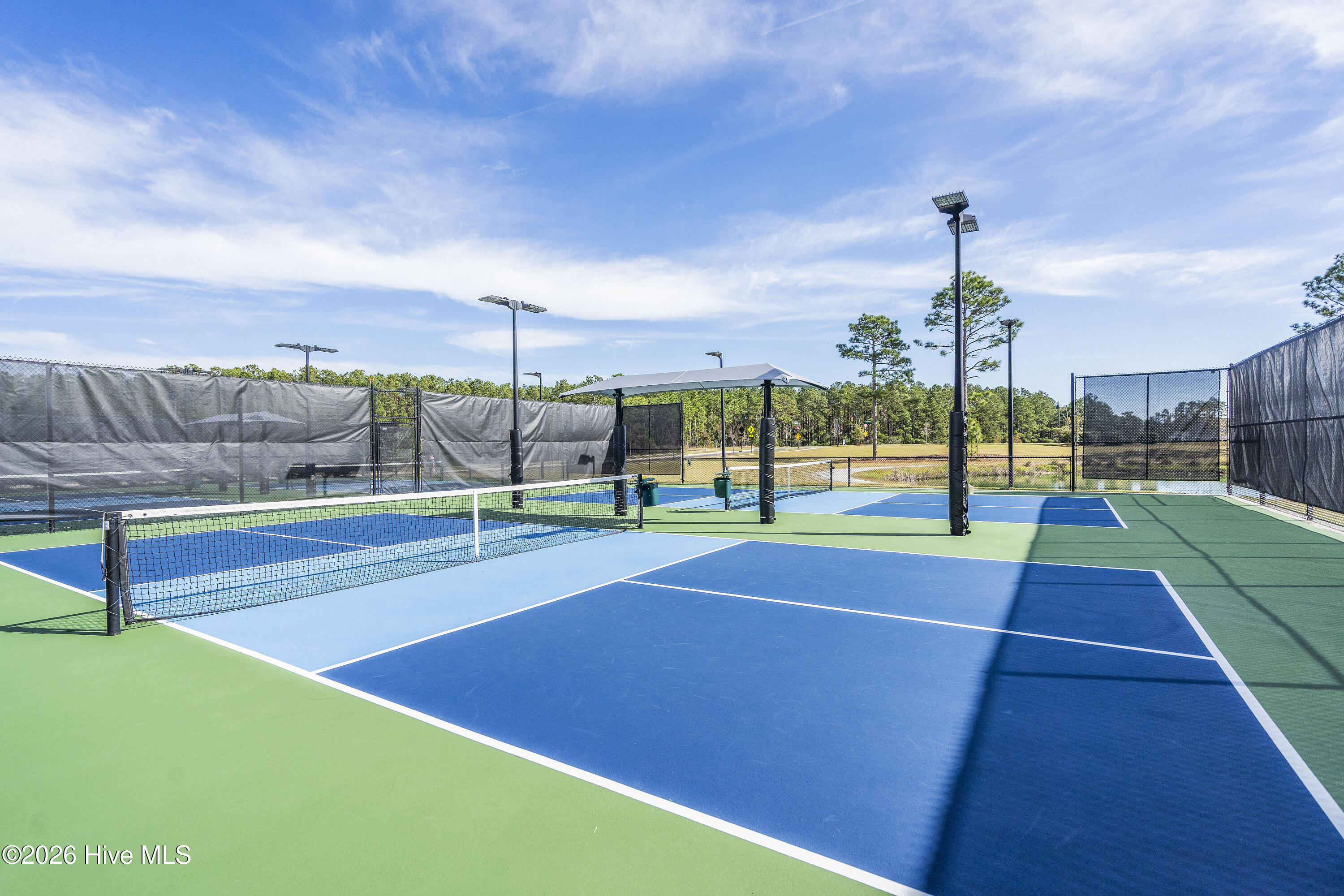 100553479 | Photo 42