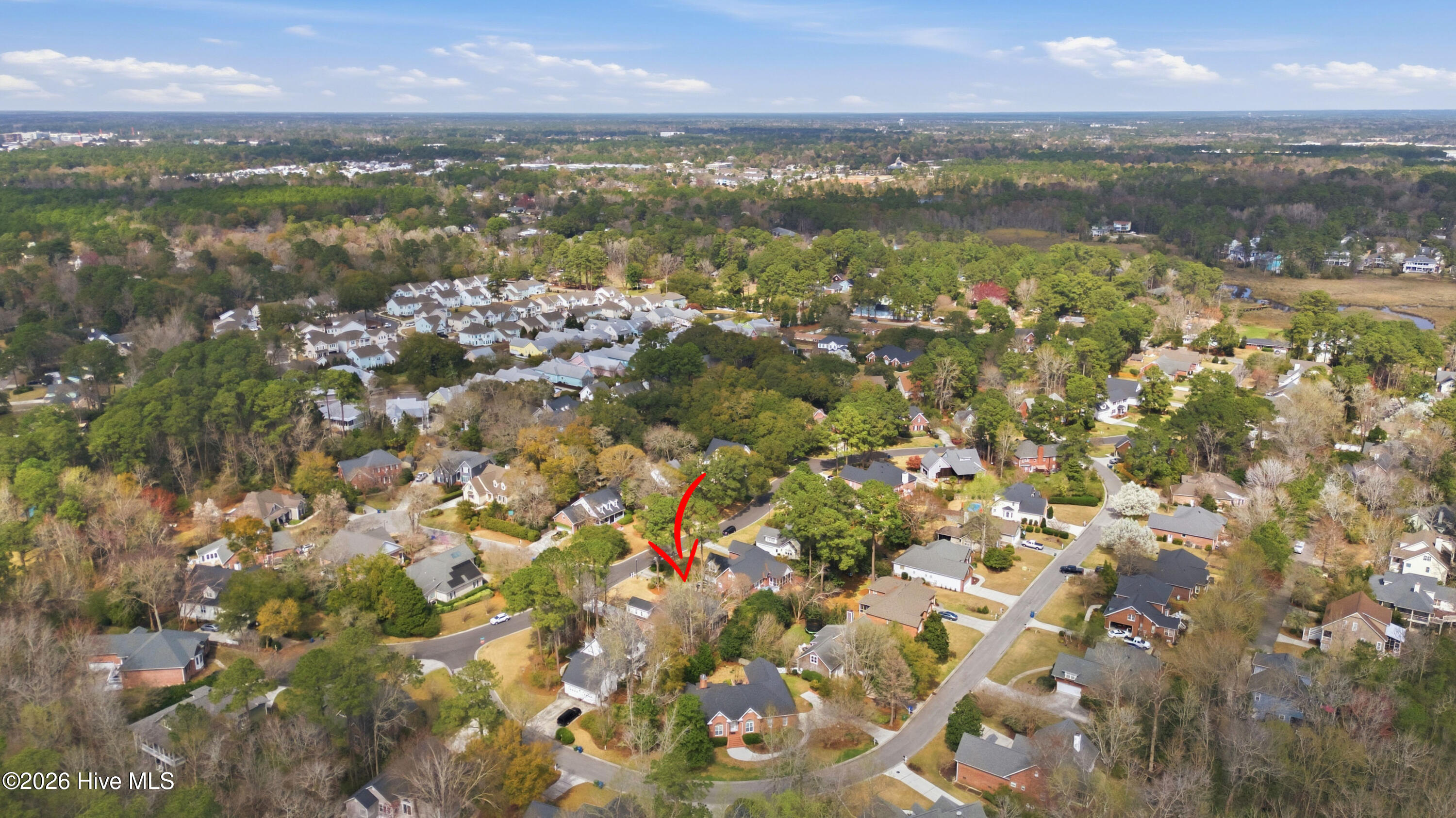 100560916 | Photo 93