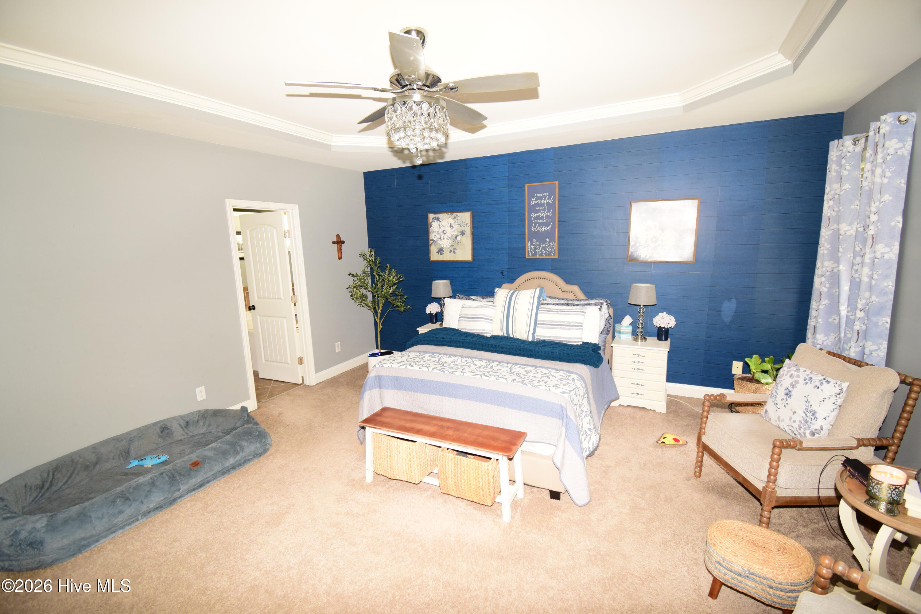 100566647 | Photo 29