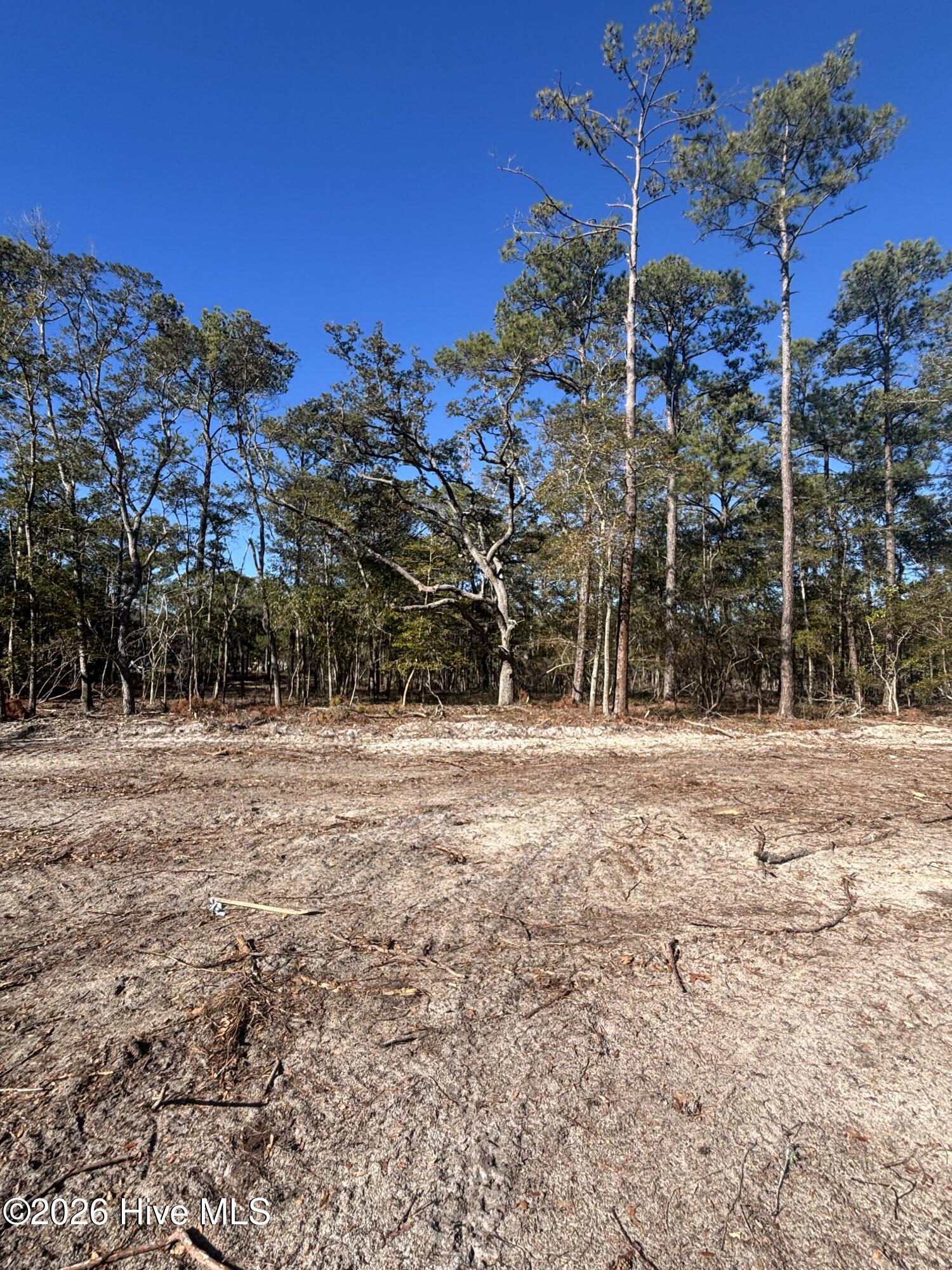 Carolina Barrier Islands