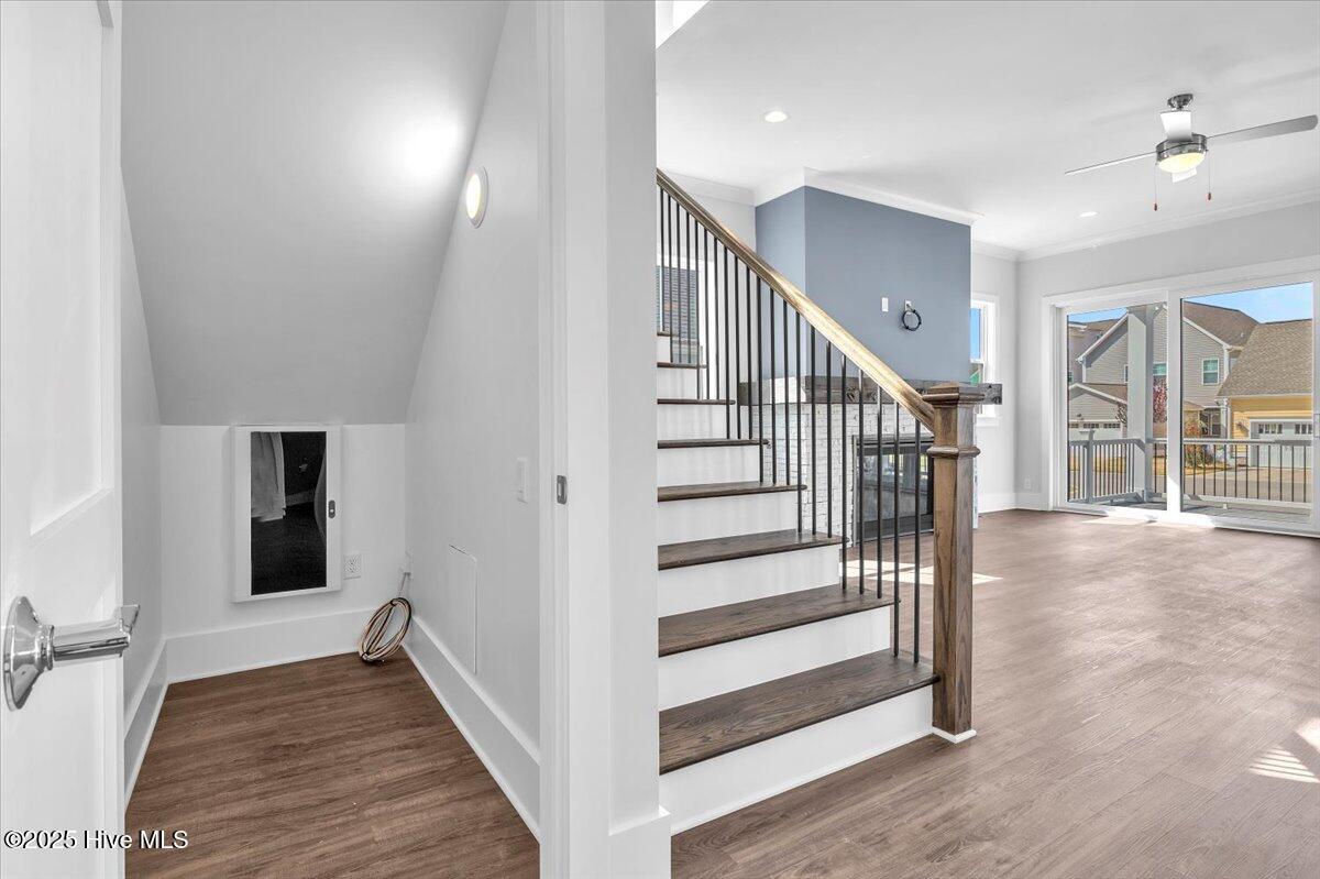 100495724 | Photo 18