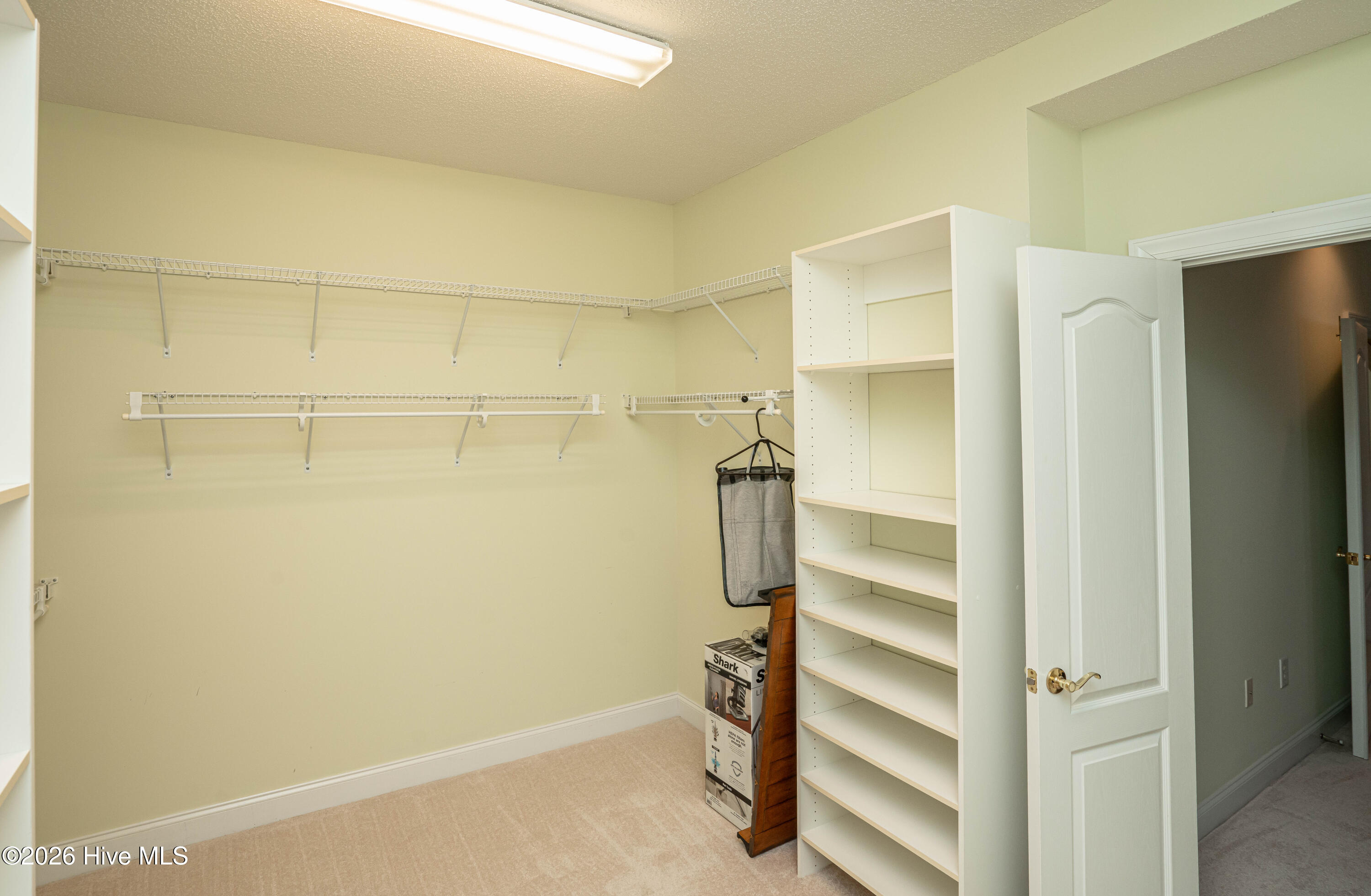 100553536 | Photo 30