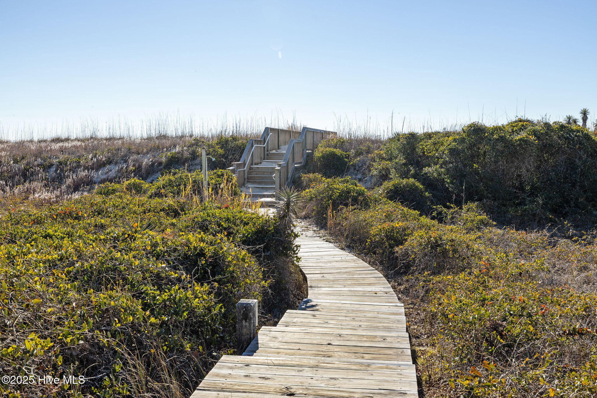 100558494 | Photo 23