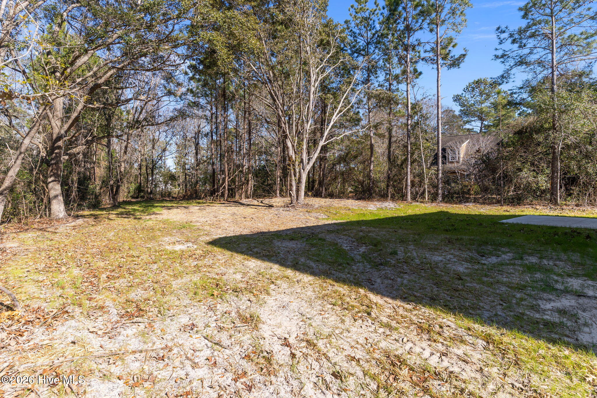 100528695 | Photo 41