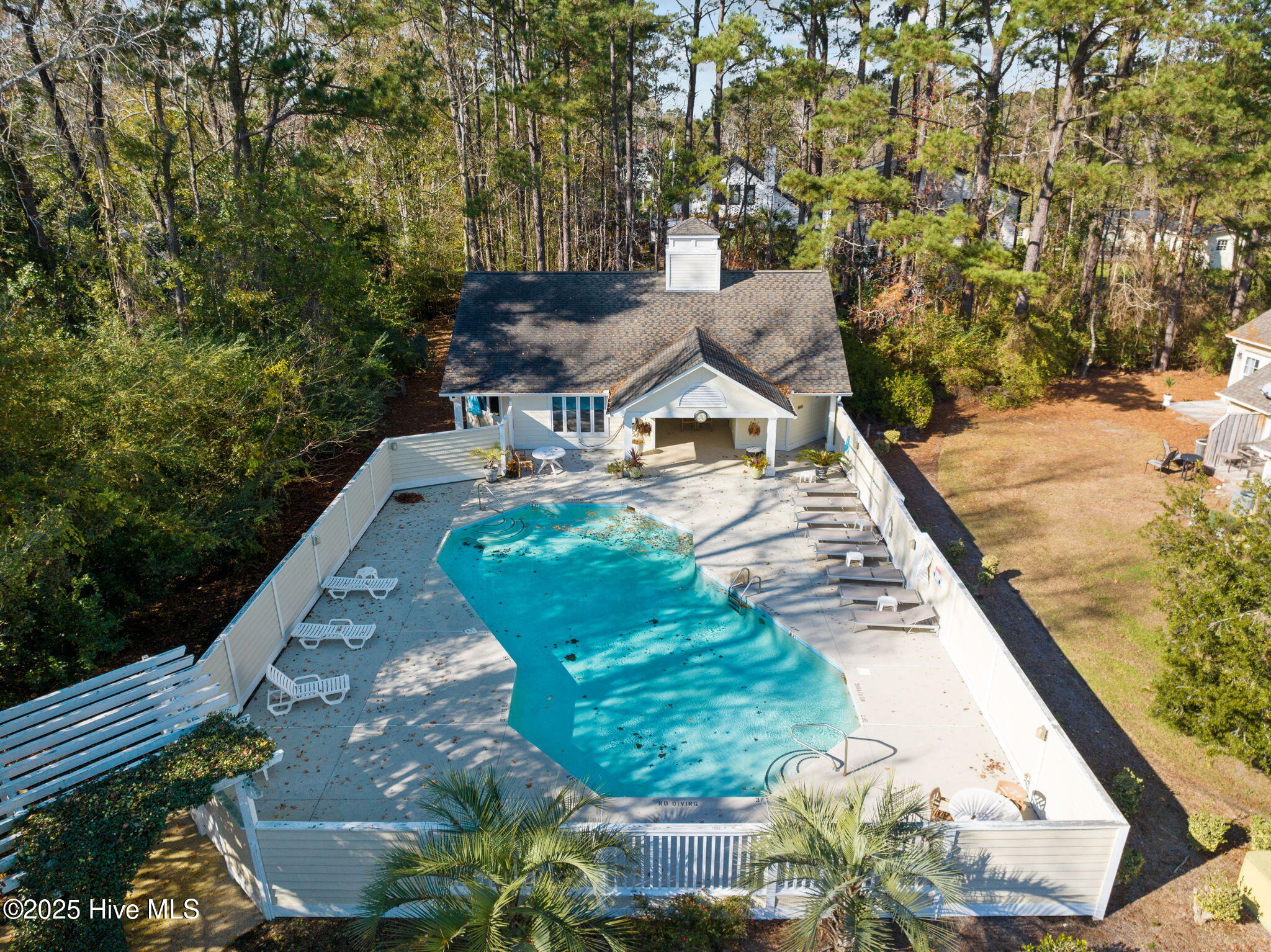 100546041 | Photo 38