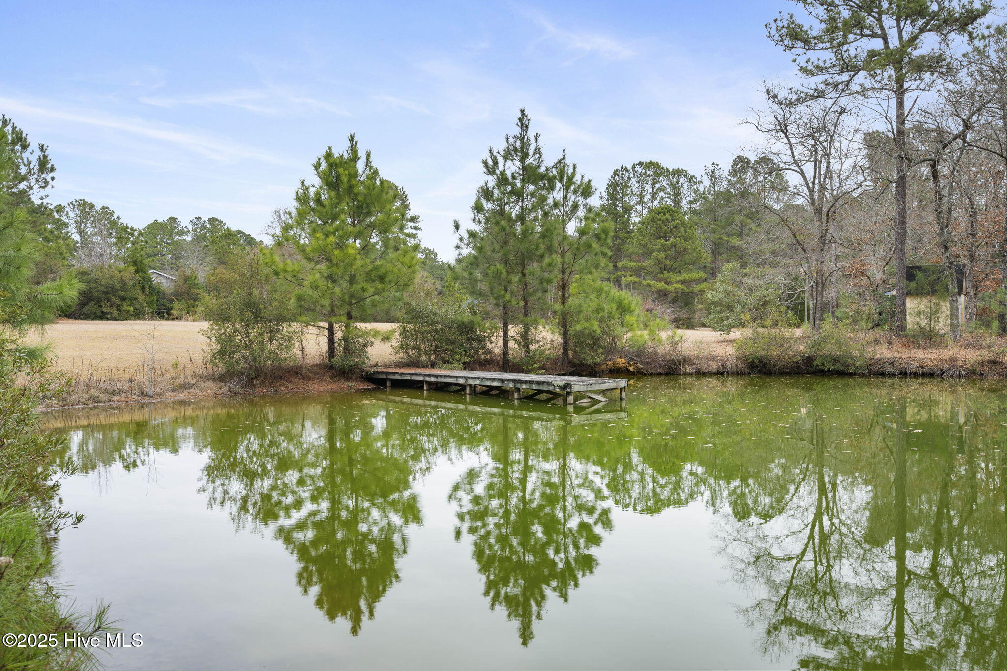 100546888 | Photo 28