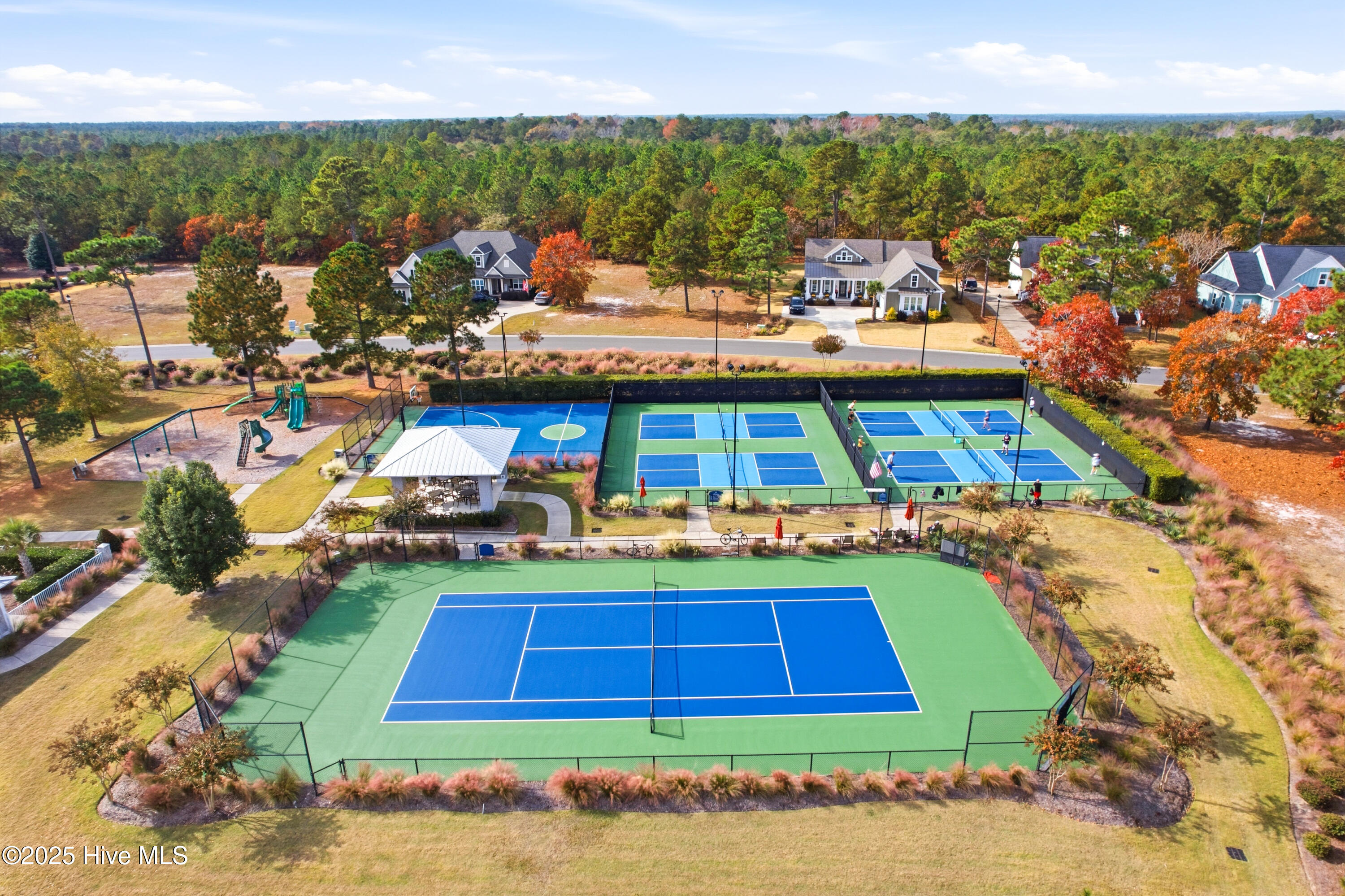 100541588 | Photo 54