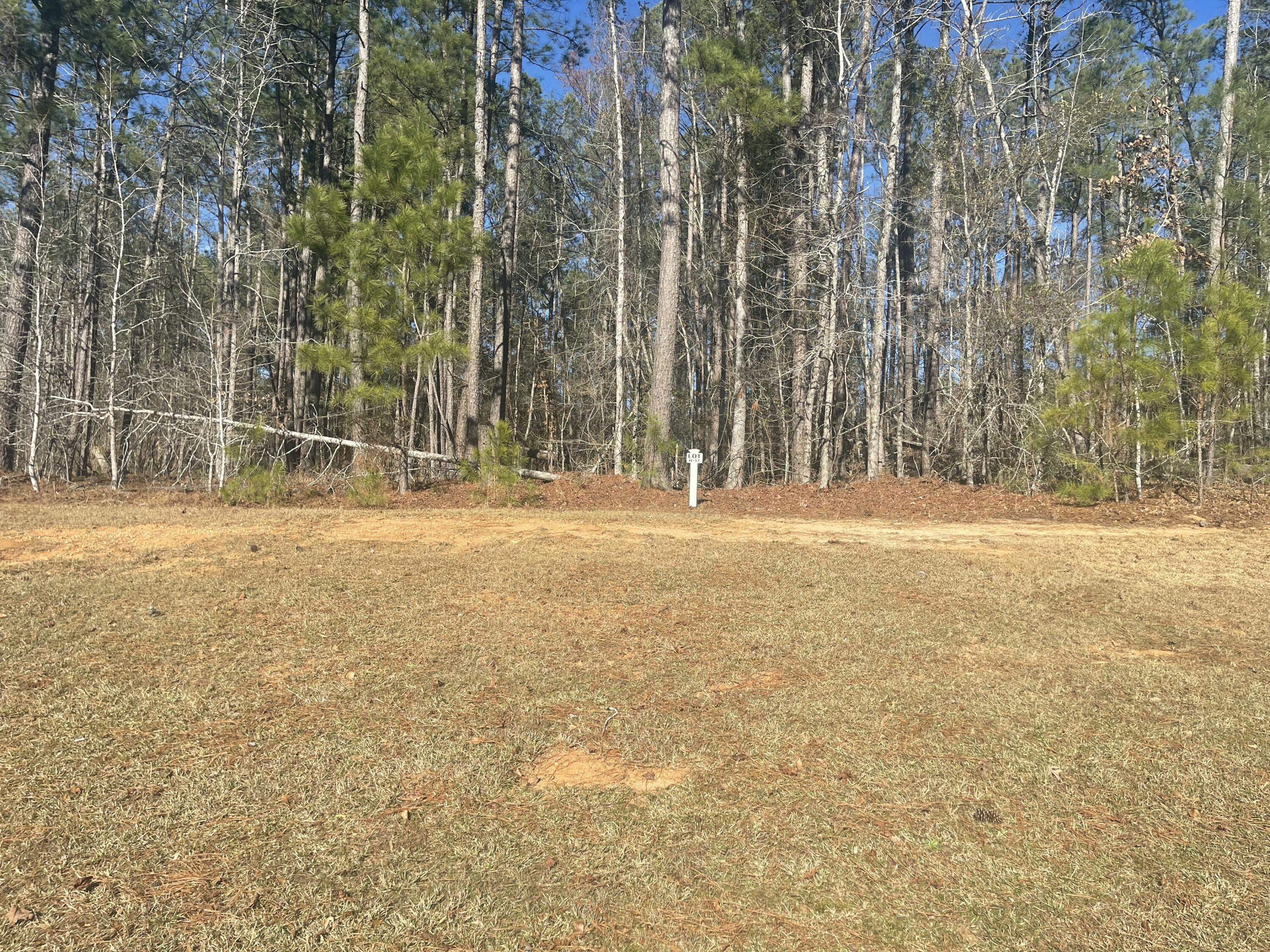 Lot M-46 Mary Johnson'S Court, North Augusta, SC, 29860