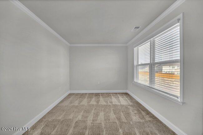 100549094 | Photo 39